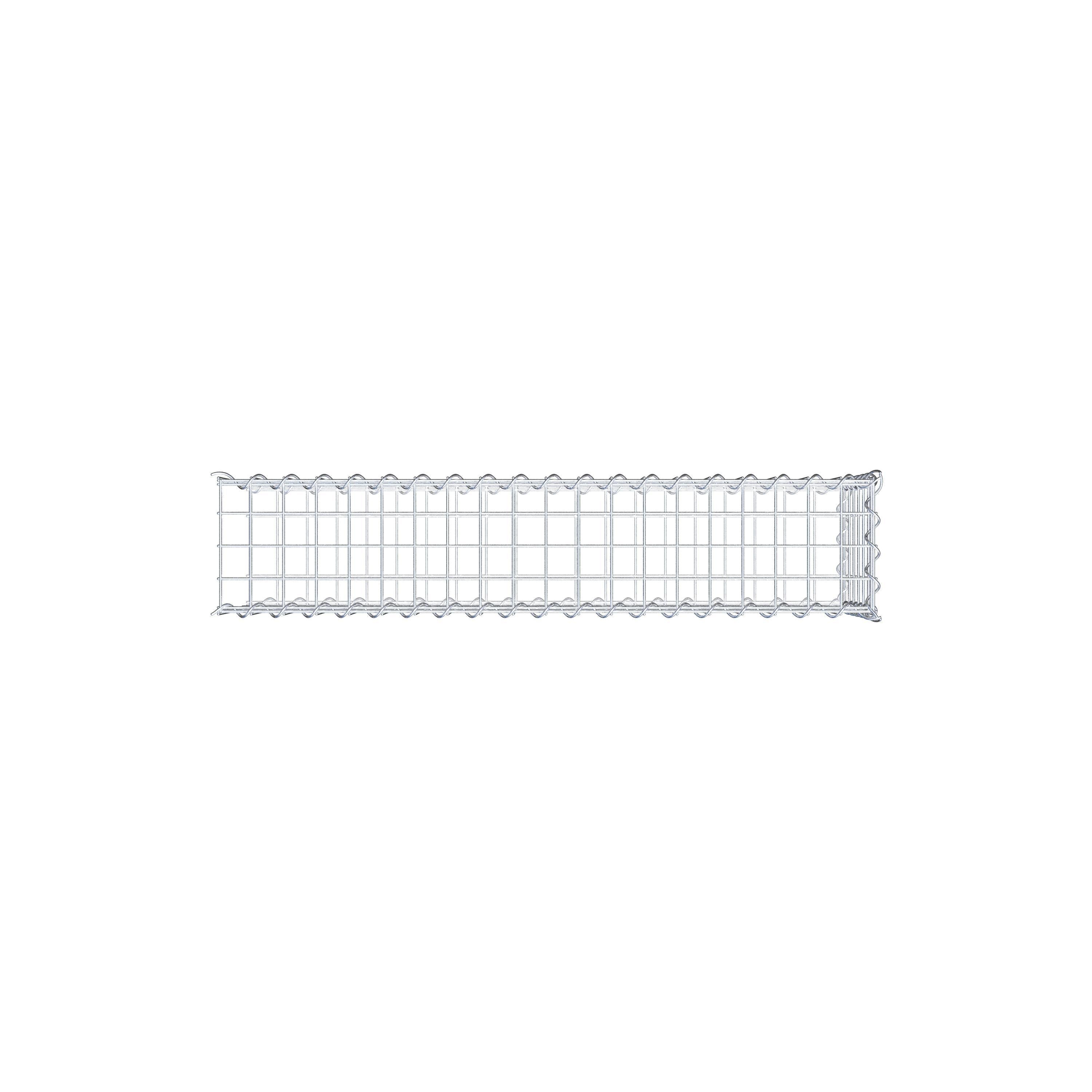 Grown-on gabion type 2 100 cm x 30 cm x 20 cm (L x H x D), mesh size 5 cm x 5 cm, spiral