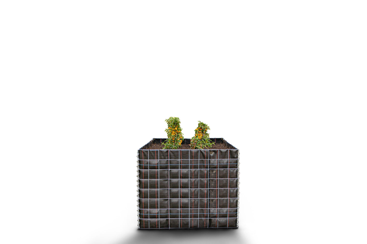 Högbädd, fyrkantig utan stenområde - Längd: 100 cm - Höjd: 80 cm - Djup: 100 cm - Maskstorlek: 10 x 10 cm