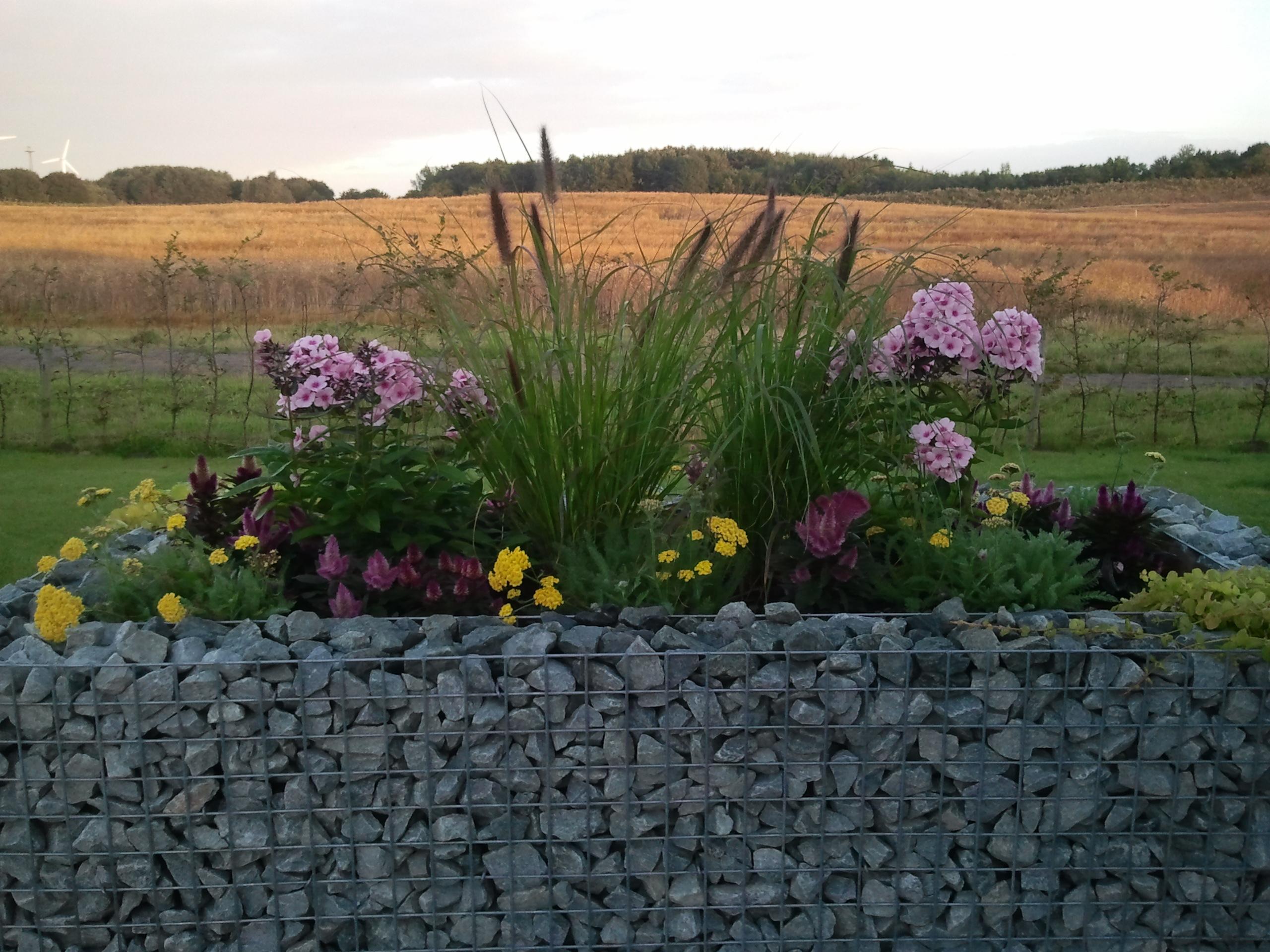 Lecho elevado rectangular 200 cm x 100 cm x 100 cm (largo x alto x fondo), malla 5 x 5 cm, espesor de pared 10 cm