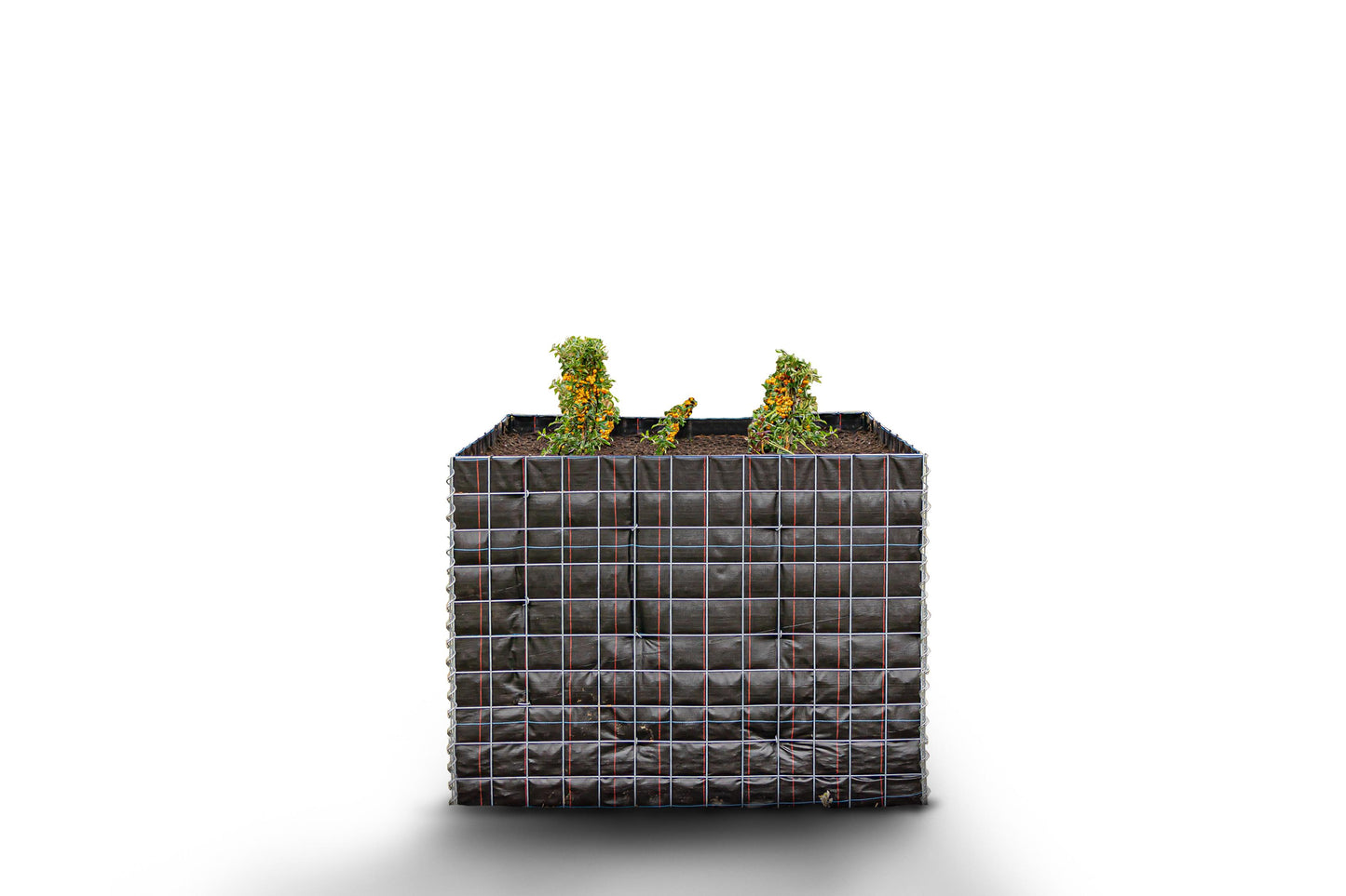 Canteiro quadrado elevado sem pedras 130 cm x 100 cm x 80 cm