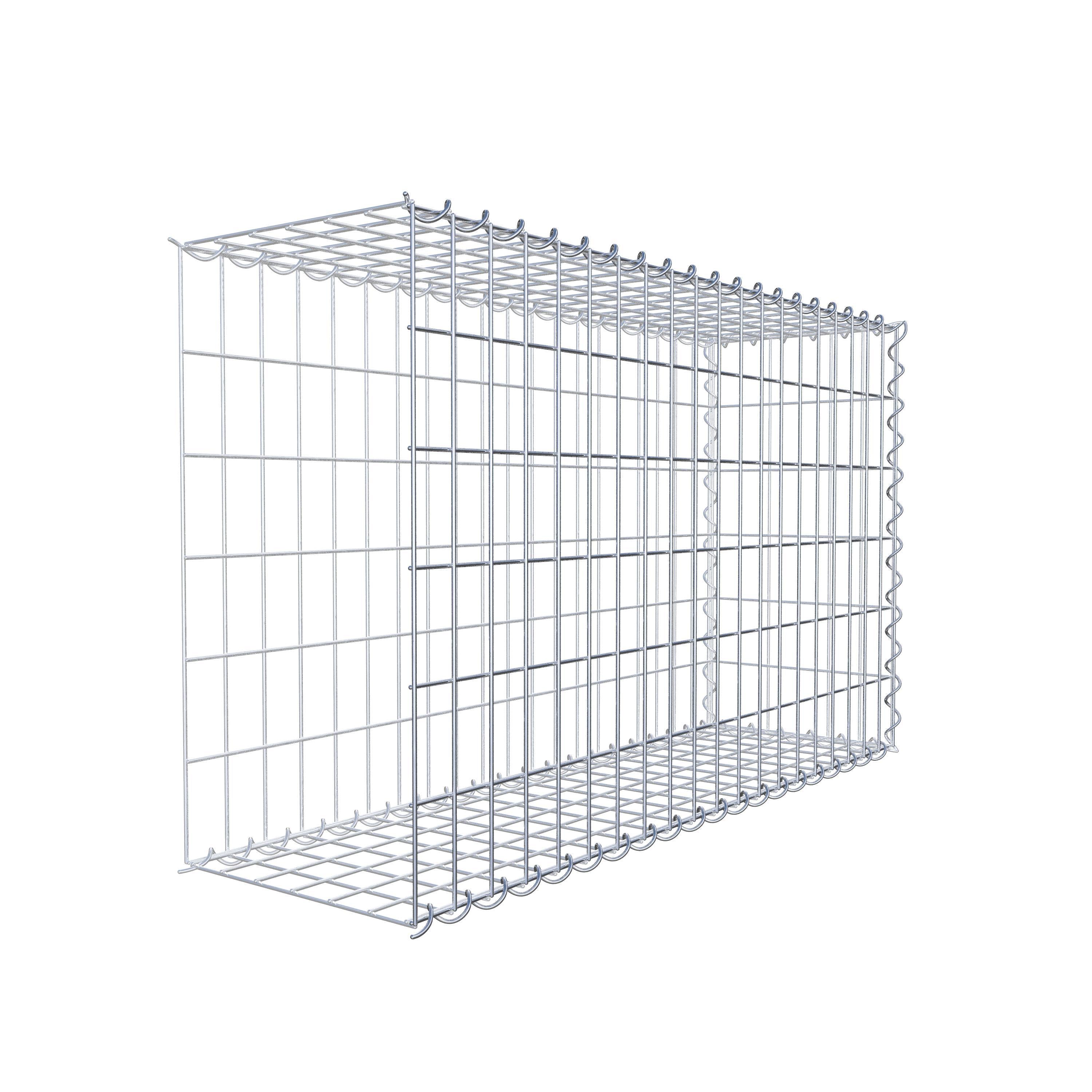 Grown-on gabion type 2 100 cm x 60 cm x 30 cm (L x H x D), mesh size 5 cm x 10 cm, spiral