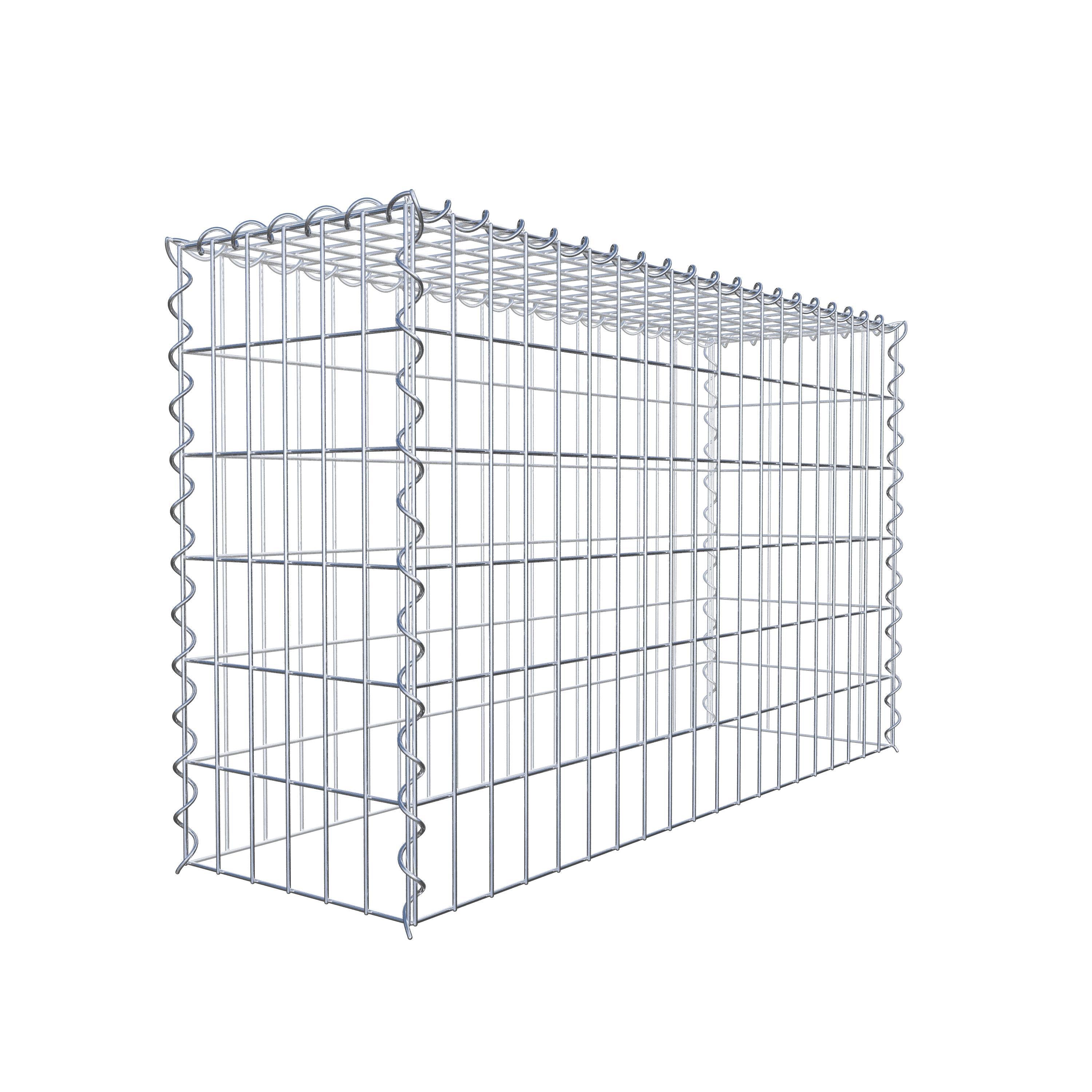 Grown-on gabion type 3 100 cm x 60 cm x 30 cm (L x H x D), mesh size 5 cm x 10 cm, spiral