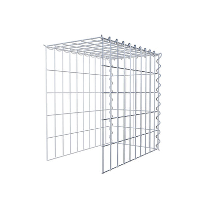 Grown-on gabion type 4 50 cm x 50 cm x 30 cm (L x H x D), mesh size 5 cm x 10 cm, spiral