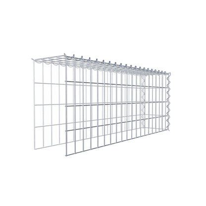 Grown-on gabion type 4 100 cm x 40 cm x 20 cm (L x H x D), mesh size 5 cm x 10 cm, spiral