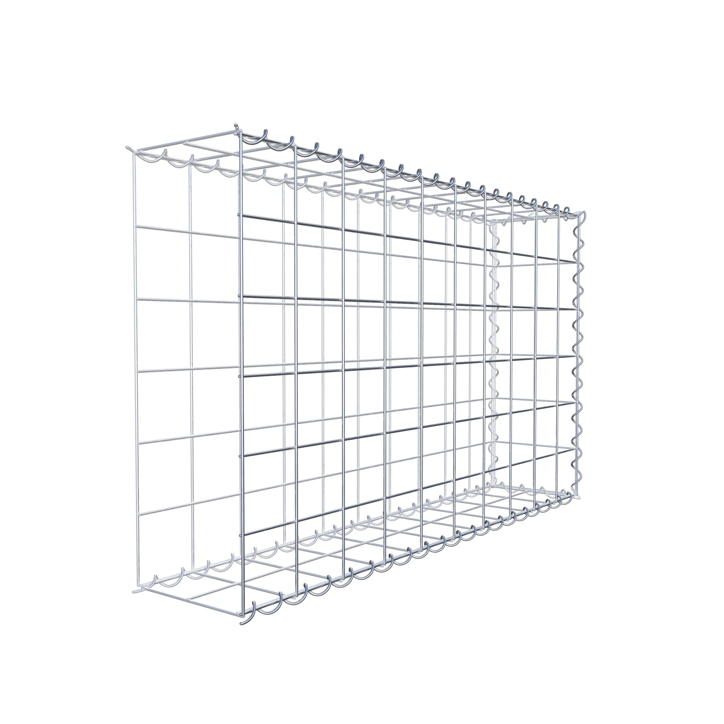 Grown-on gabion type 2 100 cm x 60 cm x 20 cm (L x H x D), mesh size 10 cm x 10 cm, spiral