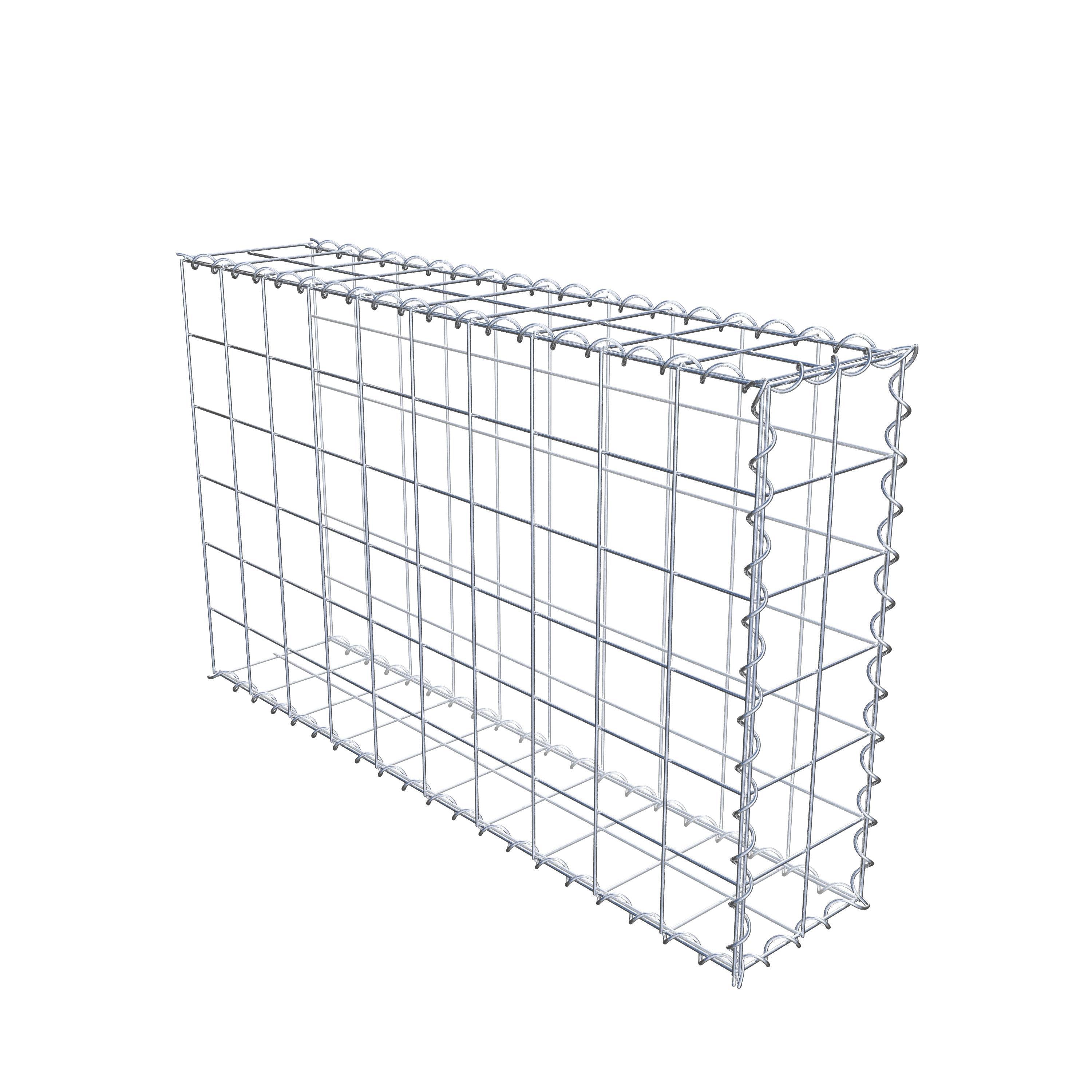 Grown-on gabion type 2 100 cm x 60 cm x 20 cm (L x H x D), mesh size 10 cm x 10 cm, spiral