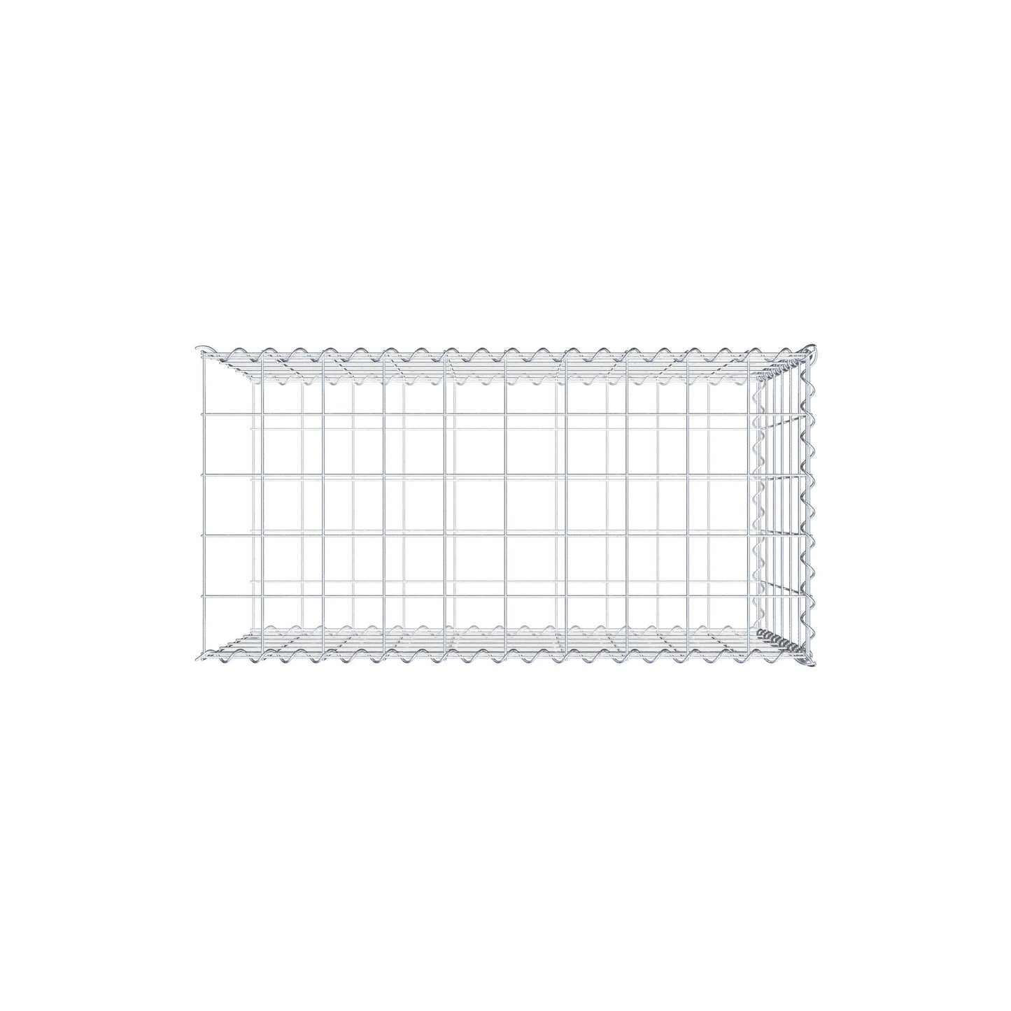 Grown-on gabion type 2 100 cm x 60 cm x 50 cm (L x H x D), mesh size 10 cm x 10 cm, spiral