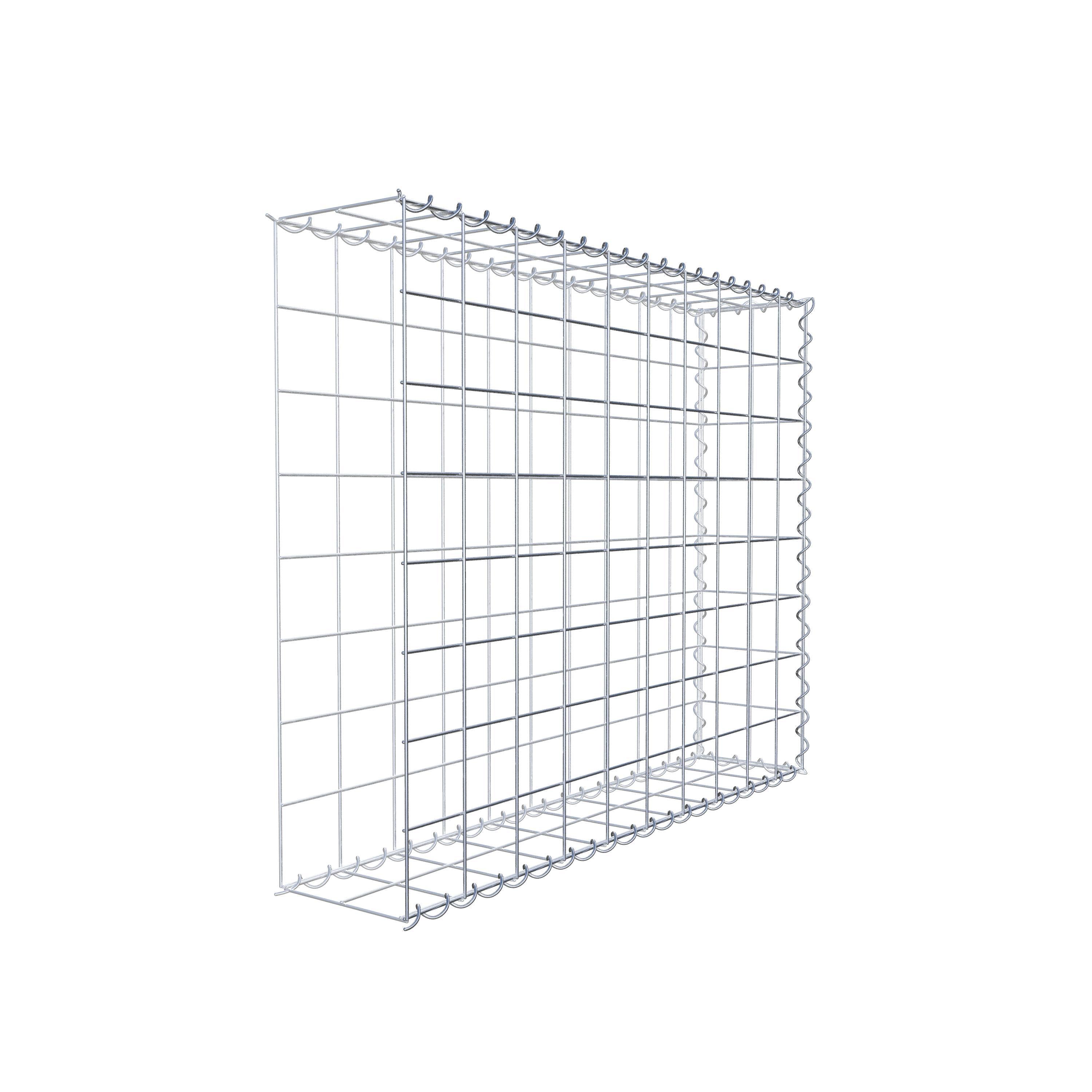 Grown-on gabion type 2 100 cm x 80 cm x 20 cm (L x H x D), mesh size 10 cm x 10 cm, spiral