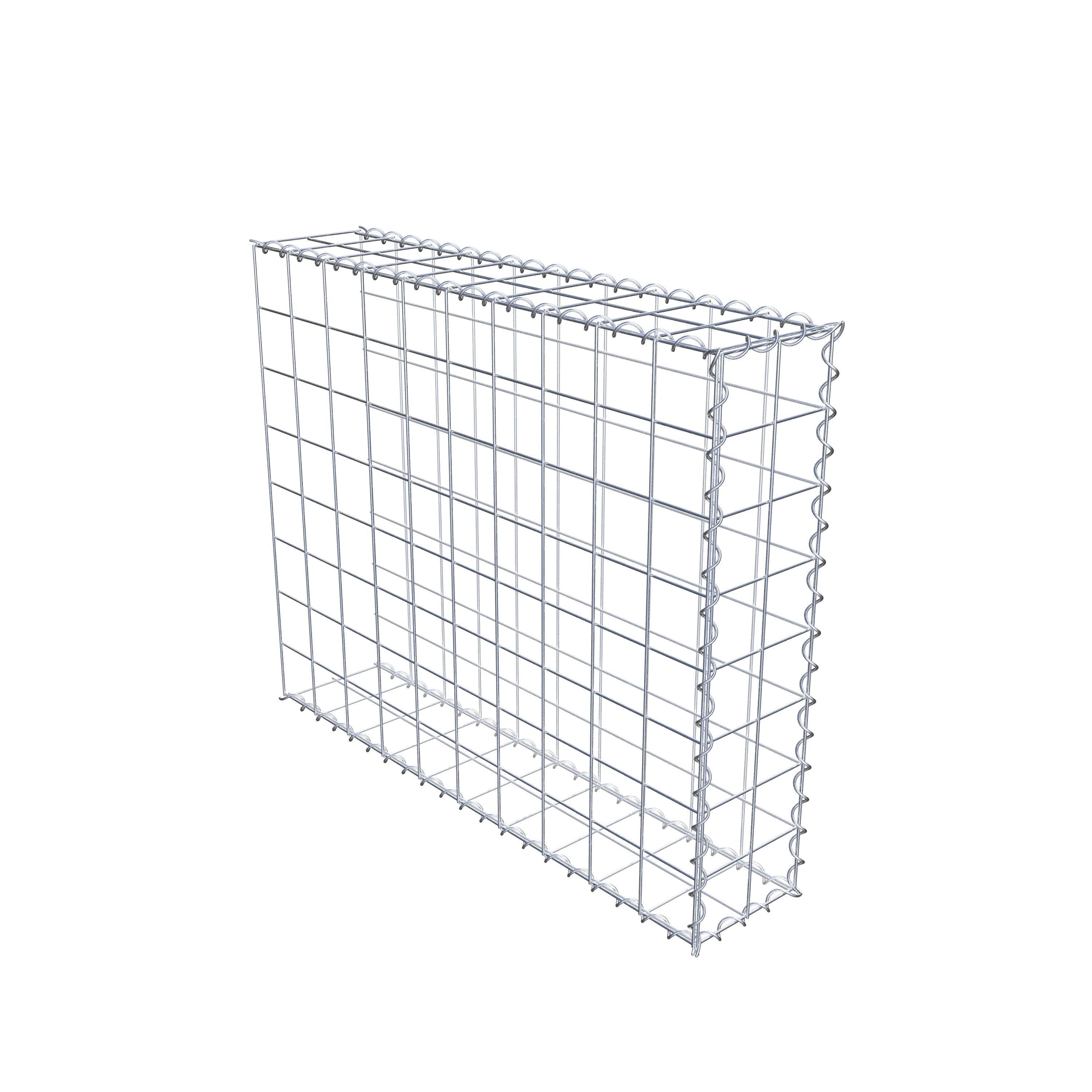 Grown-on gabion type 2 100 cm x 80 cm x 20 cm (L x H x D), mesh size 10 cm x 10 cm, spiral