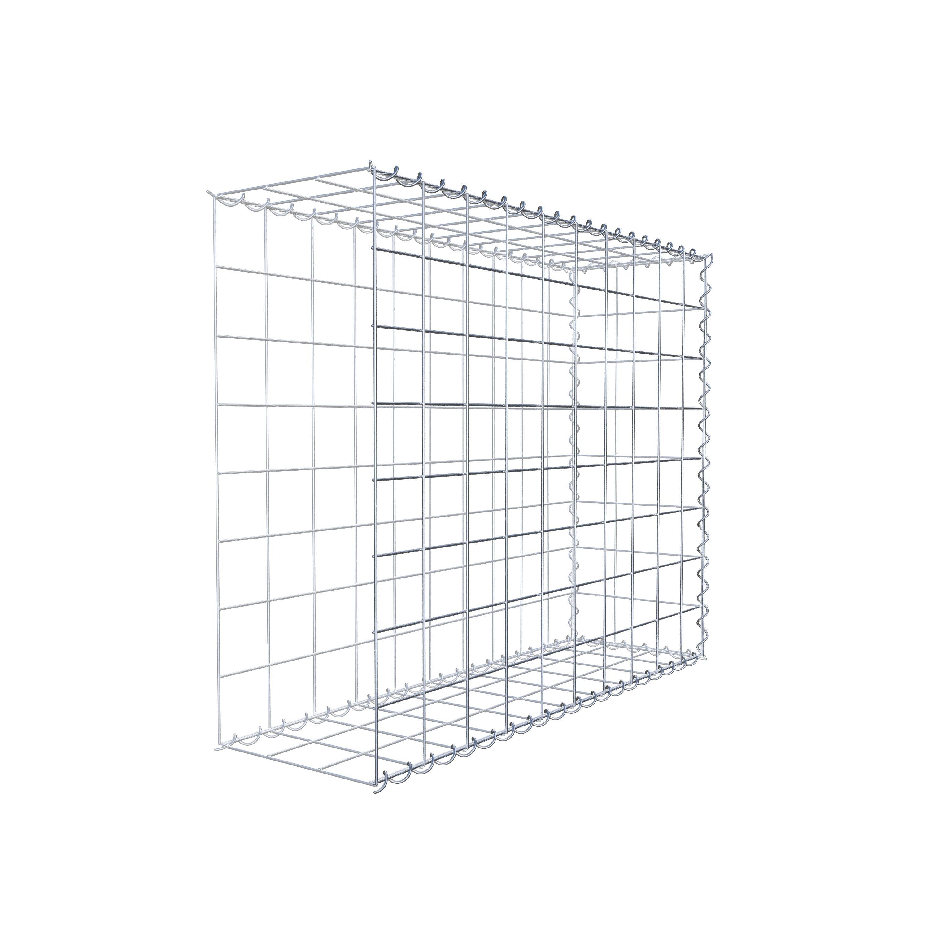 Grown-on gabion type 2 100 cm x 80 cm x 30 cm (L x H x D), mesh size 10 cm x 10 cm, spiral