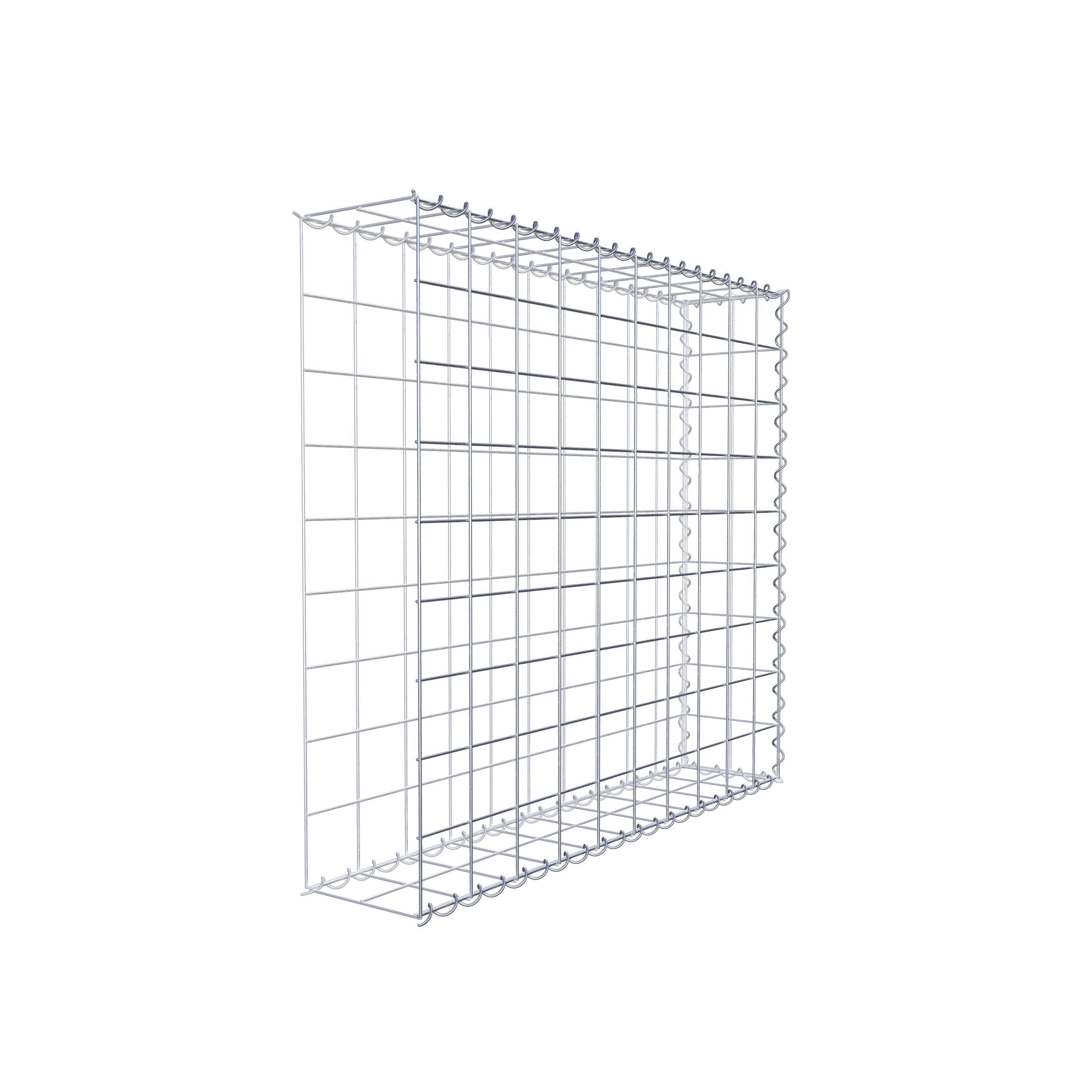 Grown-on gabion type 2 100 cm x 90 cm x 20 cm (L x H x D), mesh size 10 cm x 10 cm, spiral