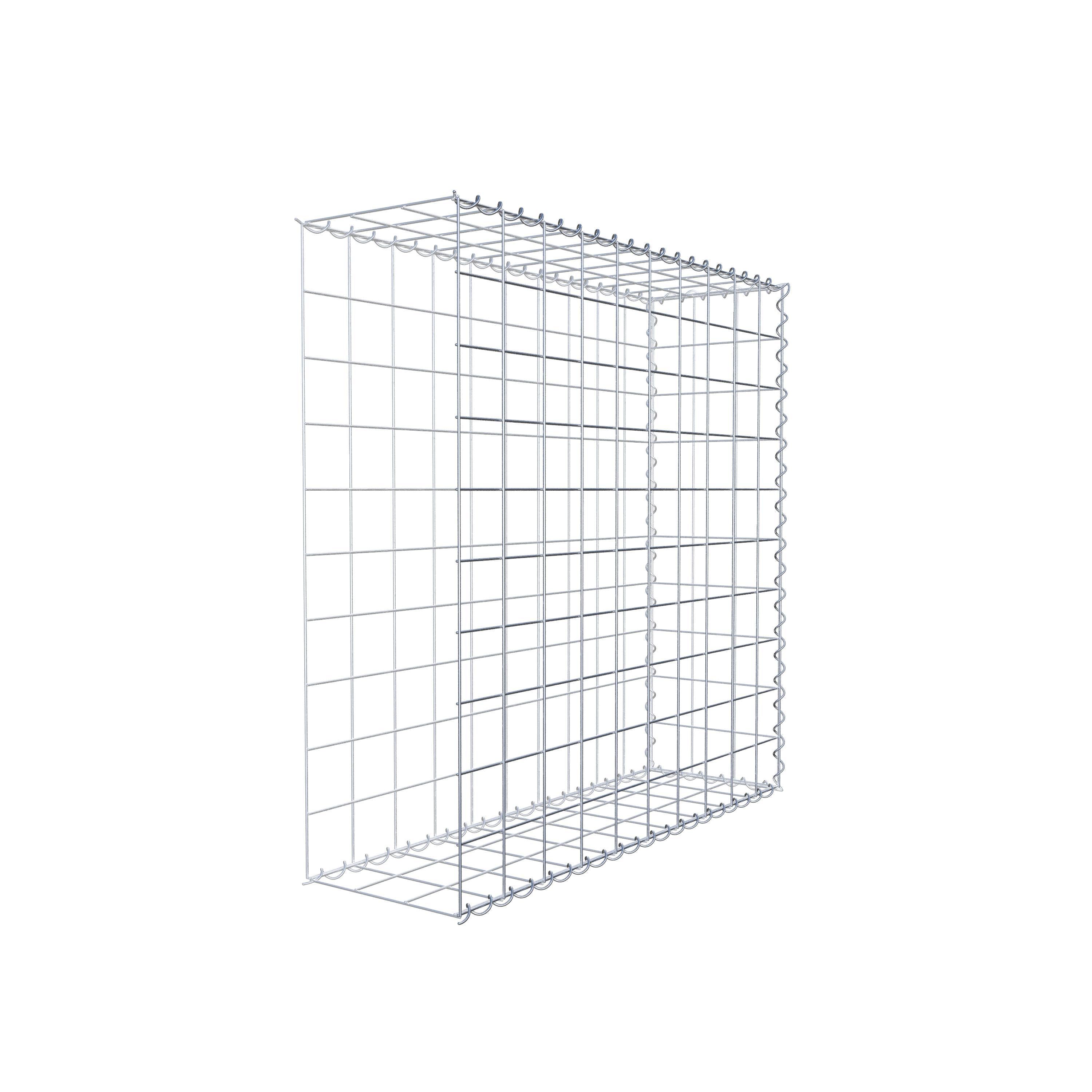 Grown-on gabion type 2 100 cm x 100 cm x 30 cm (L x H x D), mesh size 10 cm x 10 cm, spiral