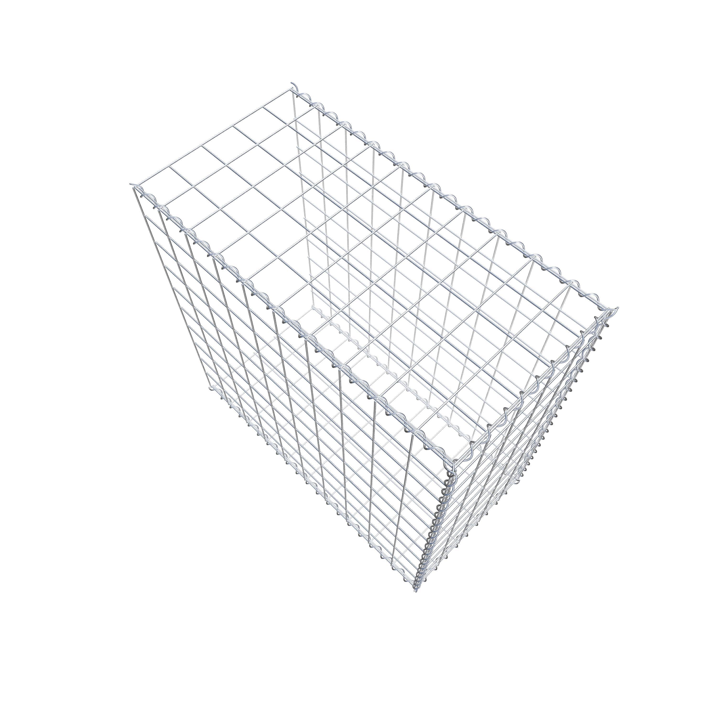 Grown-on gabion type 2 100 cm x 100 cm x 50 cm (L x H x D), mesh size 10 cm x 10 cm, spiral