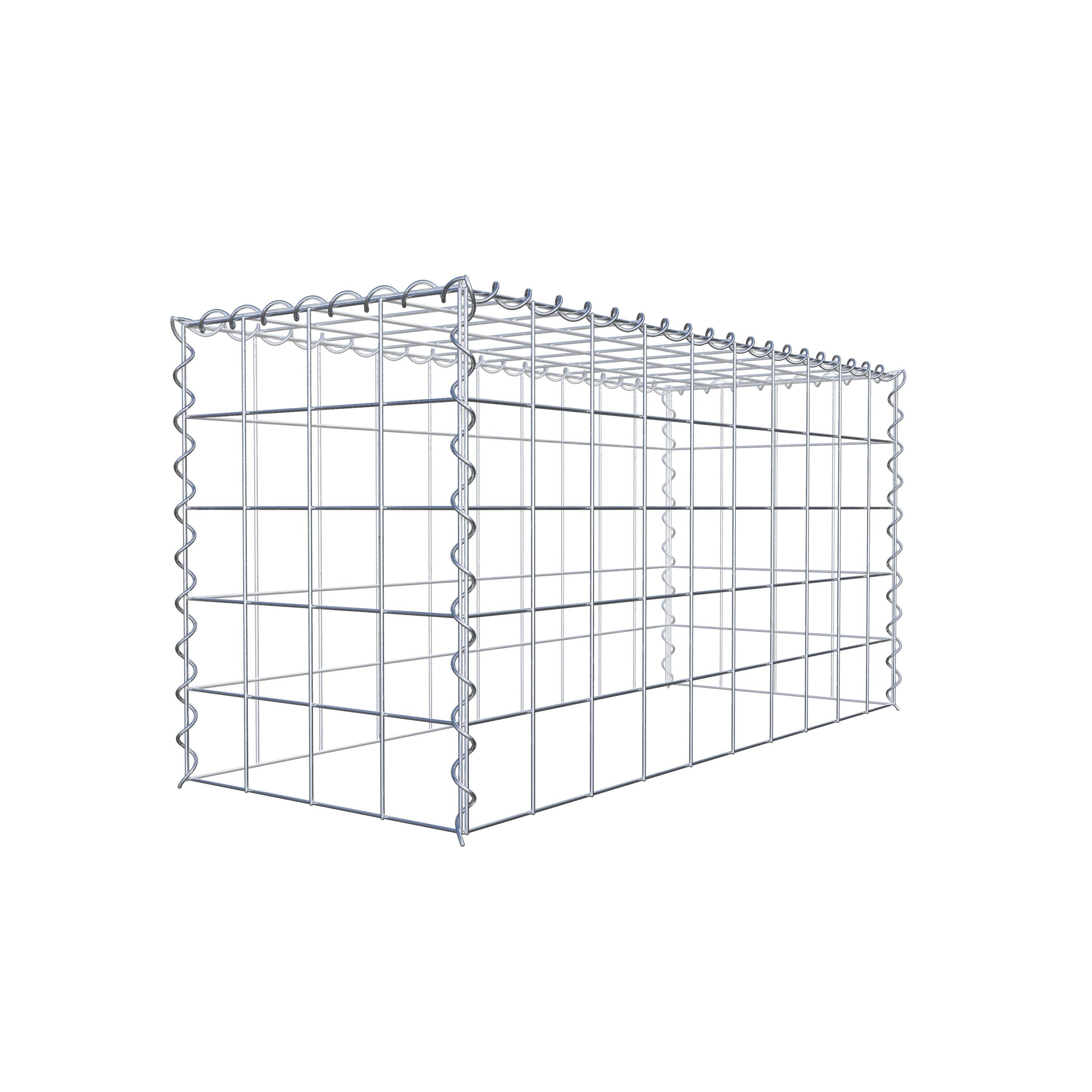 Grown-on gabion type 3 100 cm x 50 cm x 40 cm (L x H x D), mesh size 10 cm x 10 cm, spiral