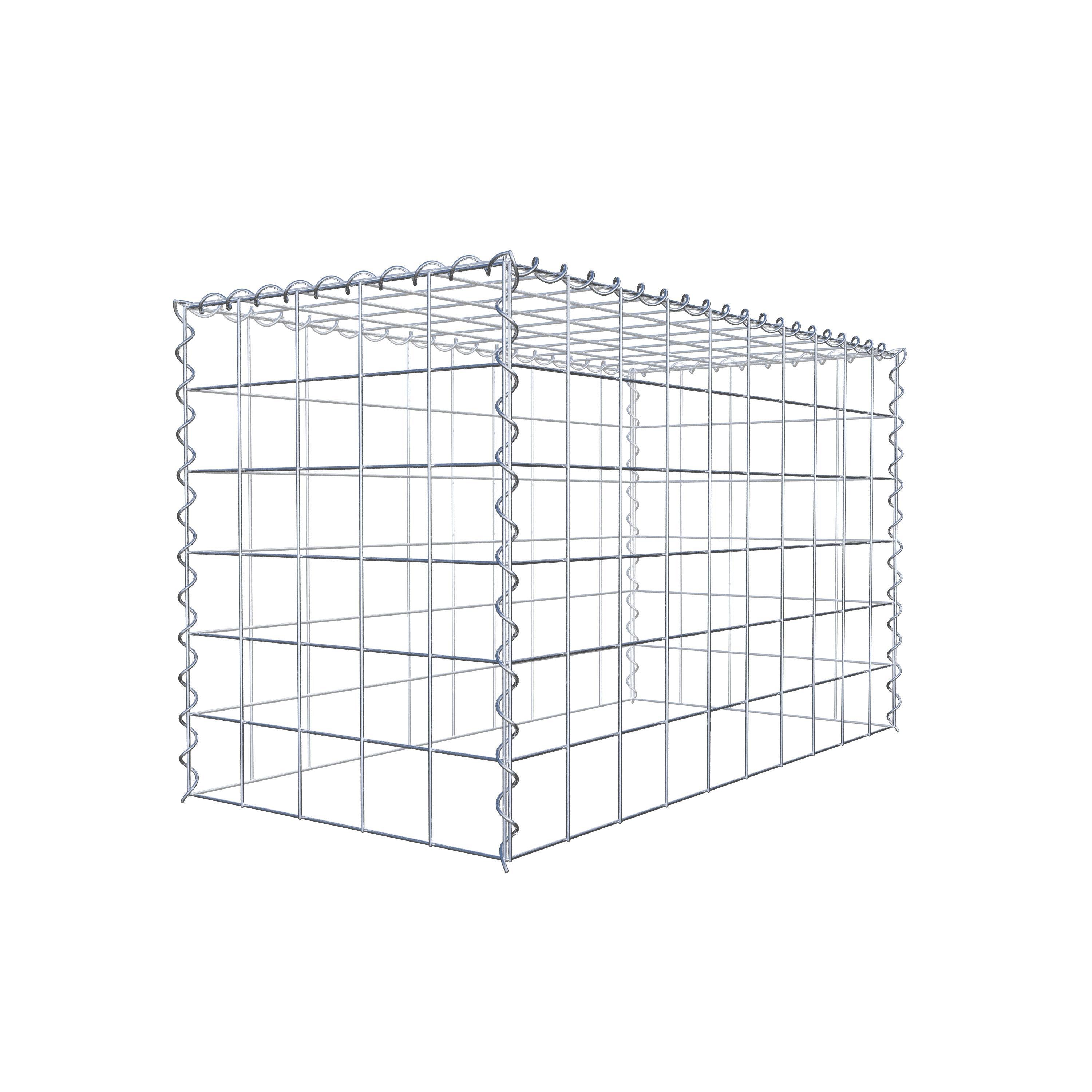 Grown-on gabion type 3 100 cm x 60 cm x 50 cm (L x H x D), mesh size 10 cm x 10 cm, spiral