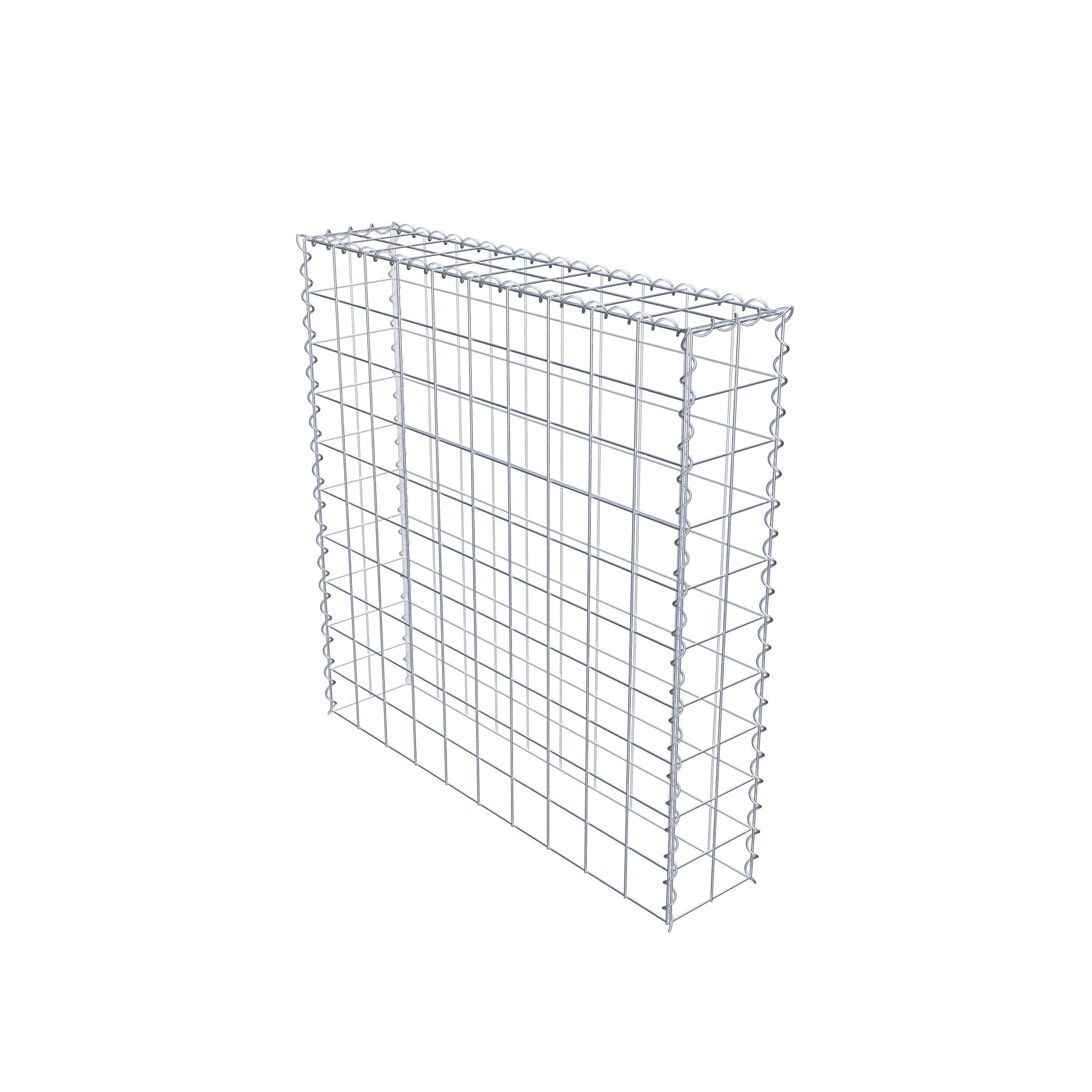 Grown-on gabion type 3 100 cm x 100 cm x 20 cm (L x H x D), mesh size 10 cm x 10 cm, spiral