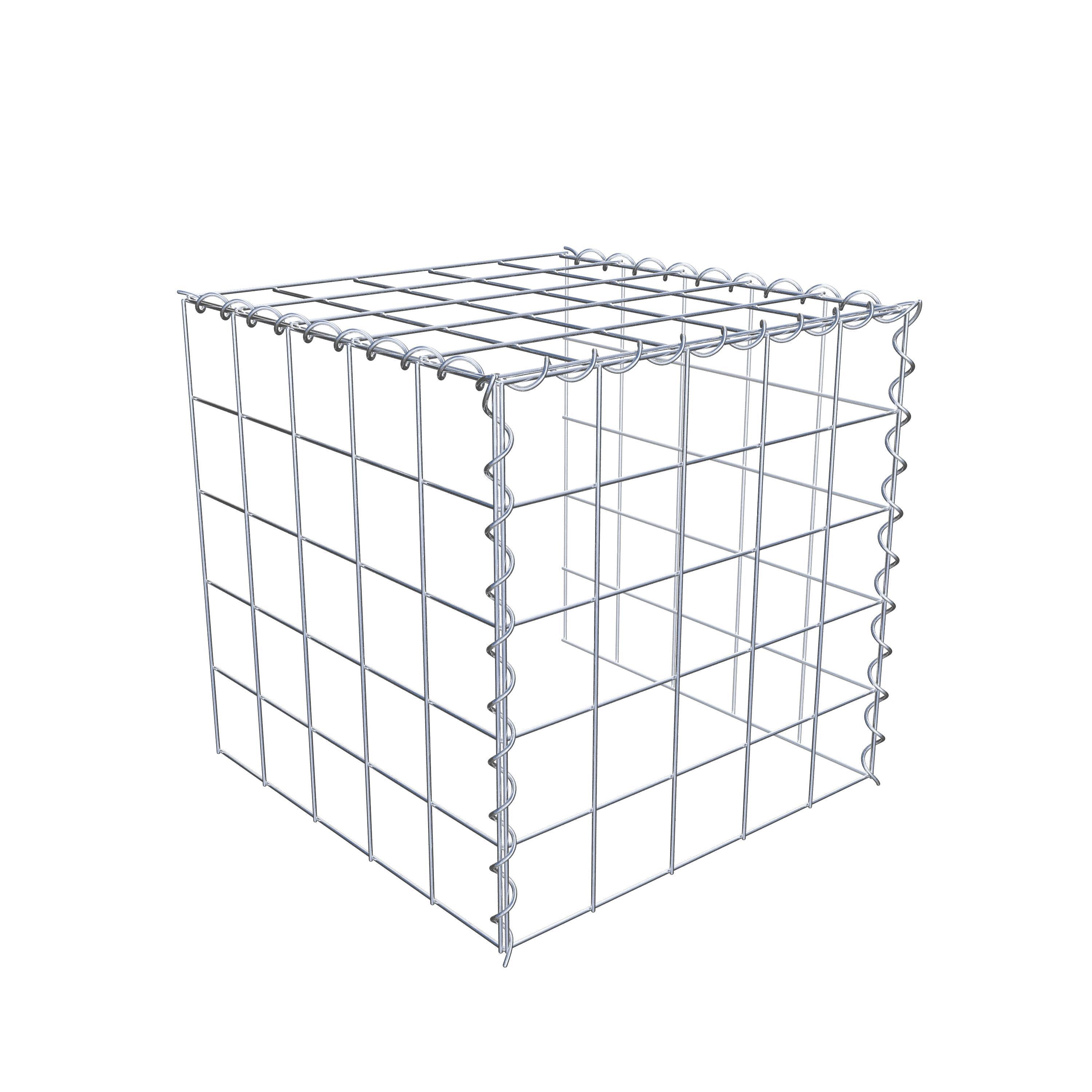 Grown-on gabion type 4 50 cm x 50 cm x 50 cm (L x H x D), mesh size 10 cm x 10 cm, spiral