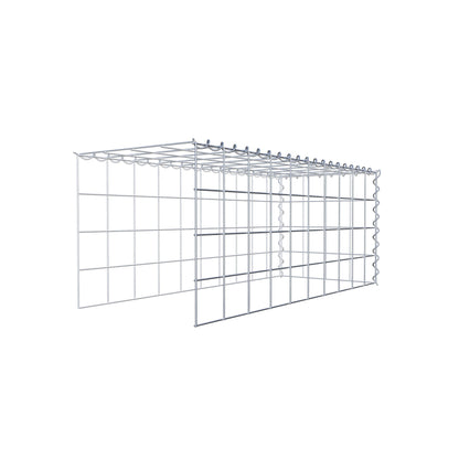 Grown-on gabion type 4 100 cm x 40 cm x 40 cm (L x H x D), mesh size 10 cm x 10 cm, spiral