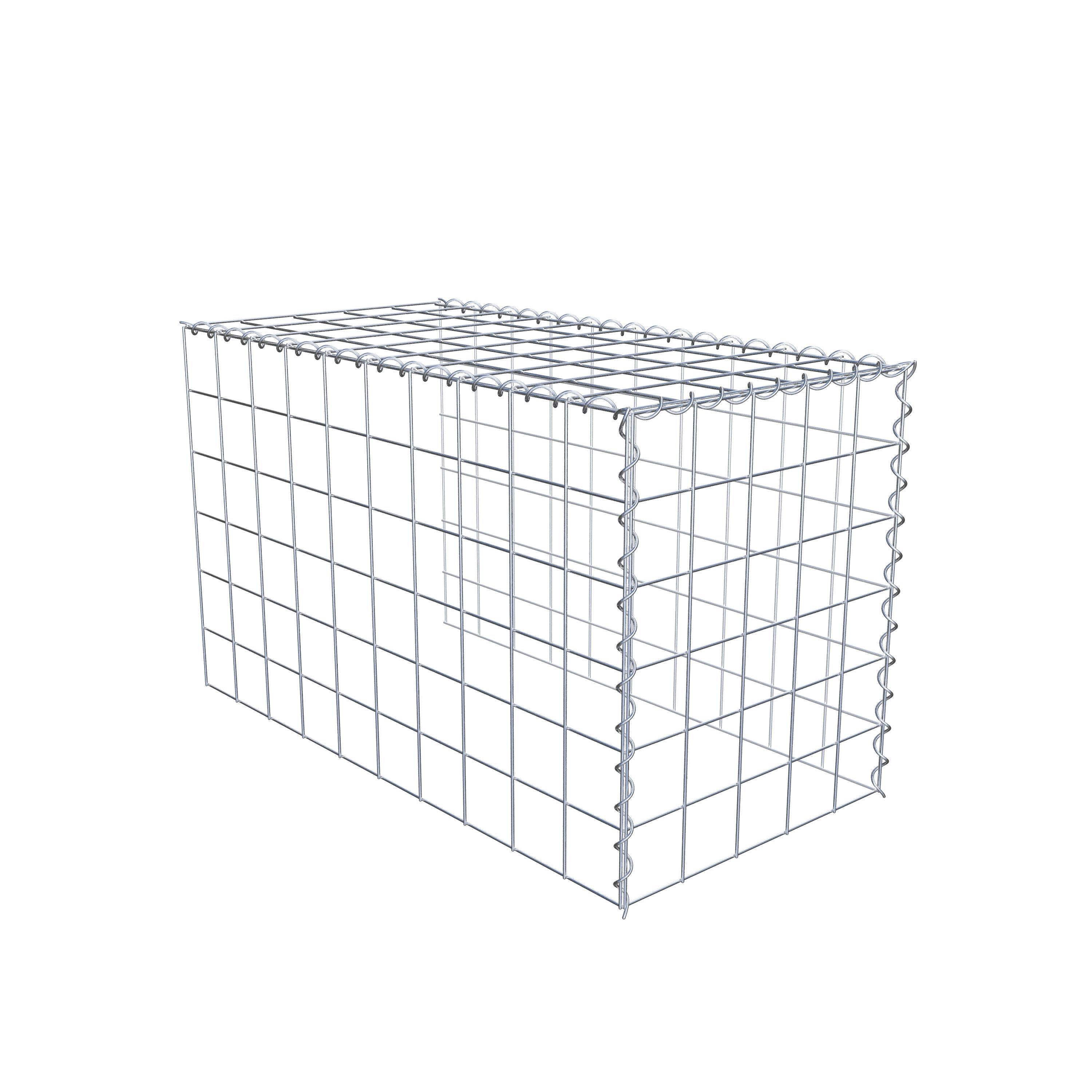 Grown-on gabion type 4 100 cm x 60 cm x 50 cm (L x H x D), mesh size 10 cm x 10 cm, spiral