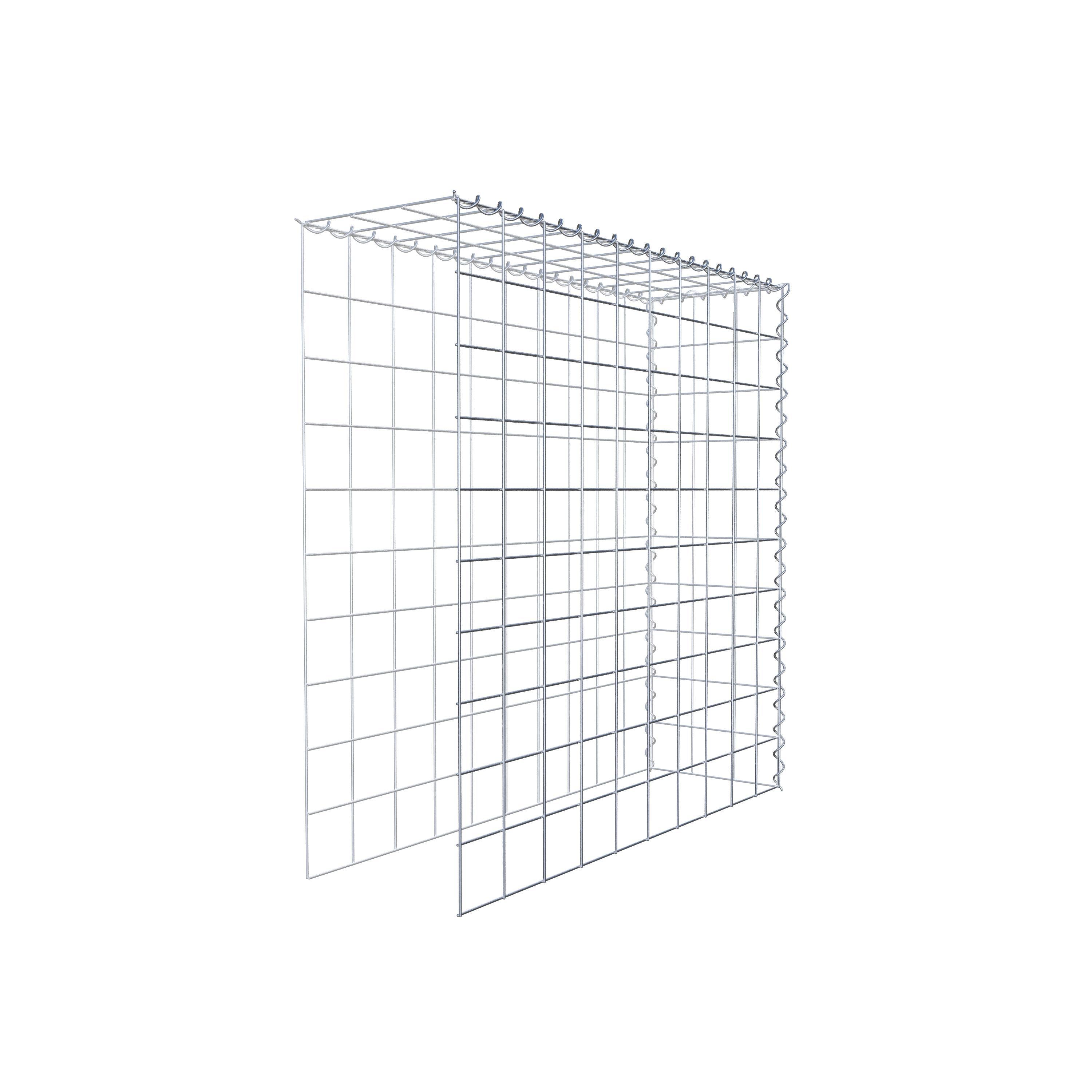 Grown-on gabion type 4 100 cm x 100 cm x 30 cm (L x H x D), mesh size 10 cm x 10 cm, spiral