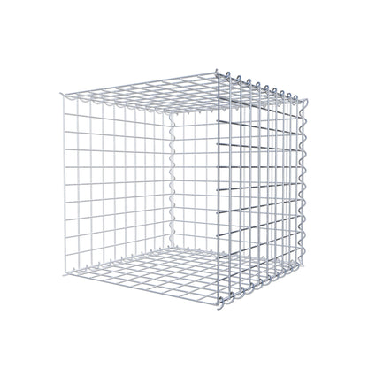 Grown-on gabion type 2 50 cm x 50 cm x 50 cm (L x H x D), mesh size 5 cm x 5 cm, spiral