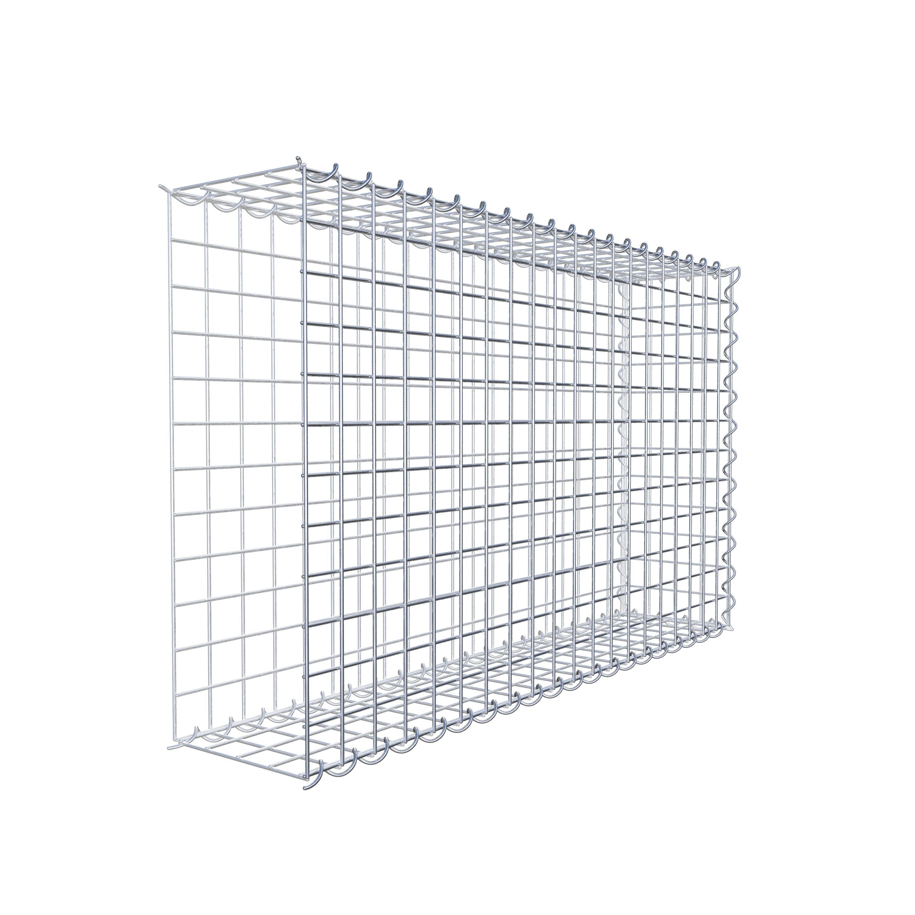 Grown-on gabion type 2 100 cm x 60 cm x 20 cm (L x H x D), mesh size 5 cm x 5 cm, spiral