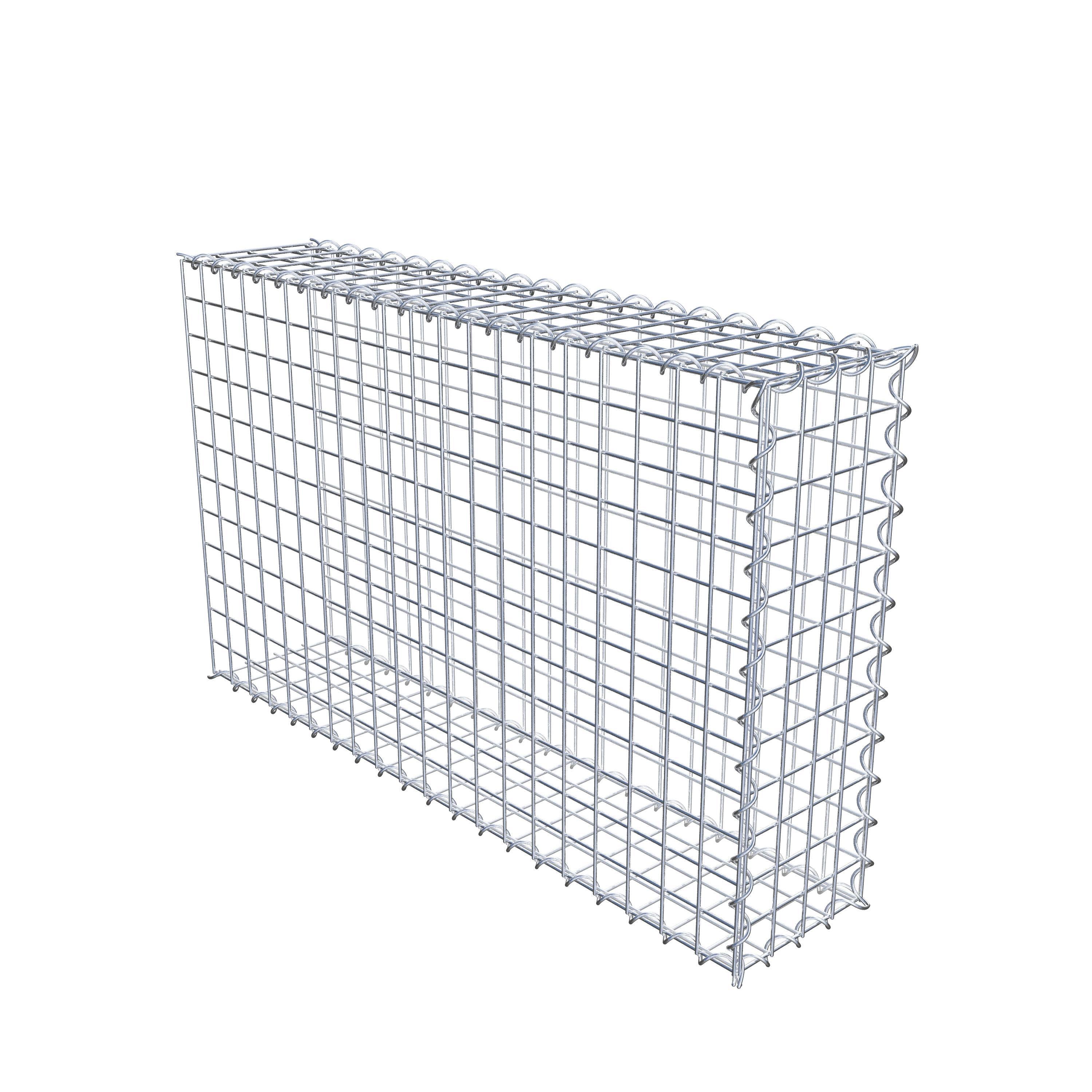 Grown-on gabion type 2 100 cm x 60 cm x 20 cm (L x H x D), mesh size 5 cm x 5 cm, spiral