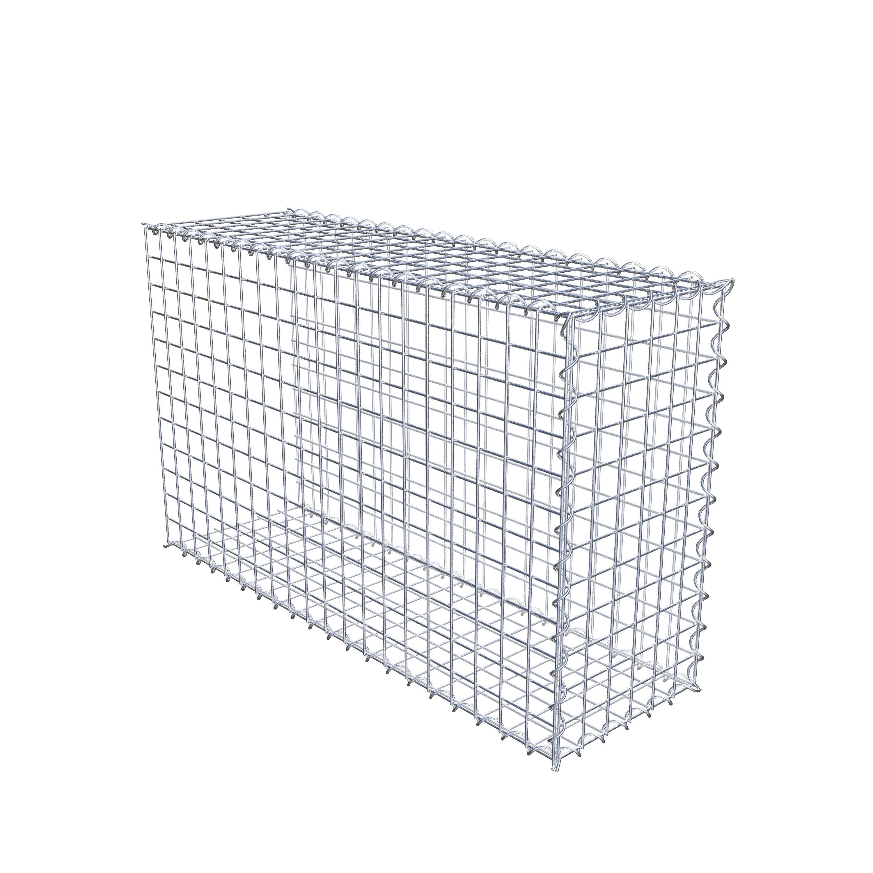 Grown-on gabion type 2 100 cm x 60 cm x 30 cm (L x H x D), mesh size 5 cm x 5 cm, spiral