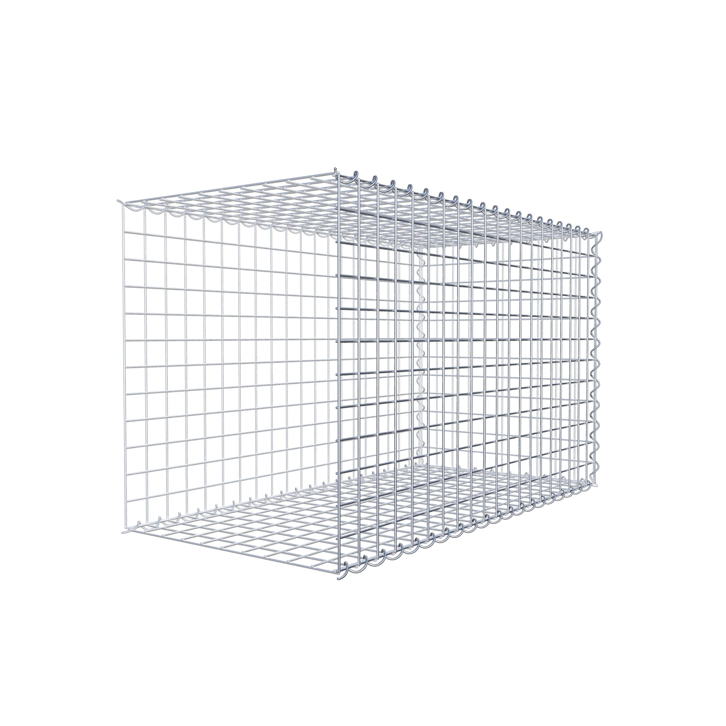 Grown-on gabion type 2 100 cm x 60 cm x 50 cm (L x H x D), mesh size 5 cm x 5 cm, spiral