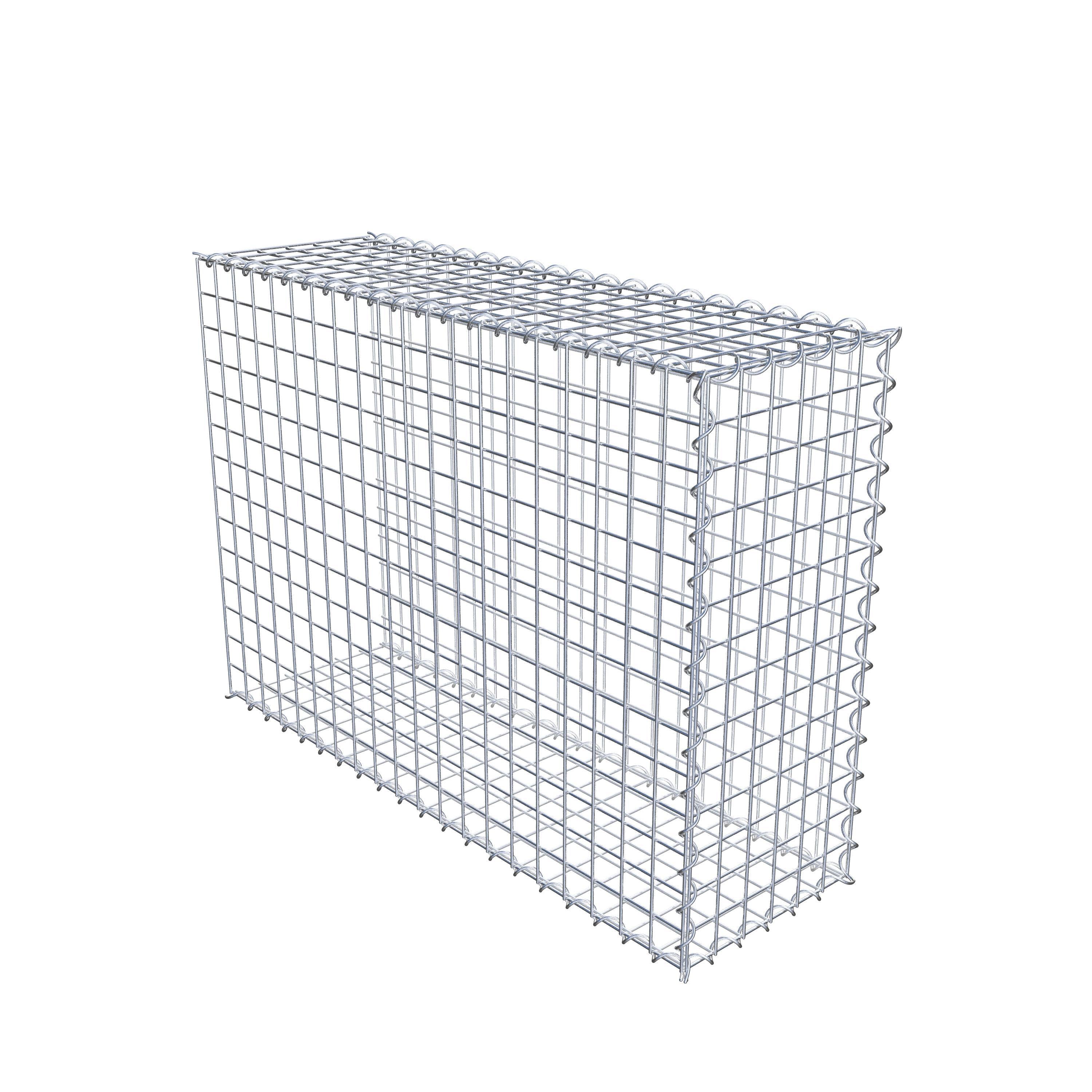 Grown-on gabion type 2 100 cm x 70 cm x 30 cm (L x H x D), mesh size 5 cm x 5 cm, spiral