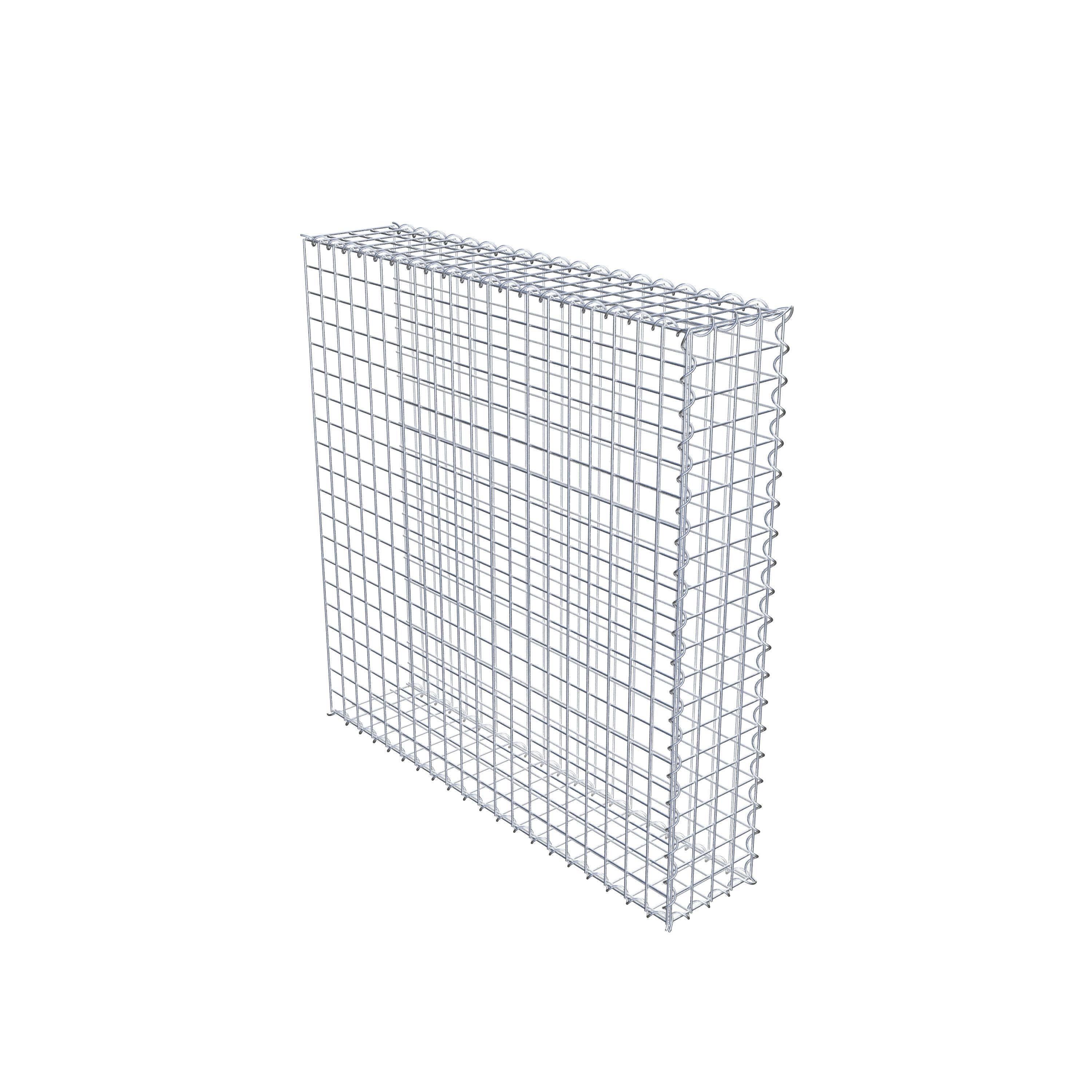 Grown-on gabion type 2 100 cm x 100 cm x 20 cm (L x H x D), mesh size 5 cm x 5 cm, spiral