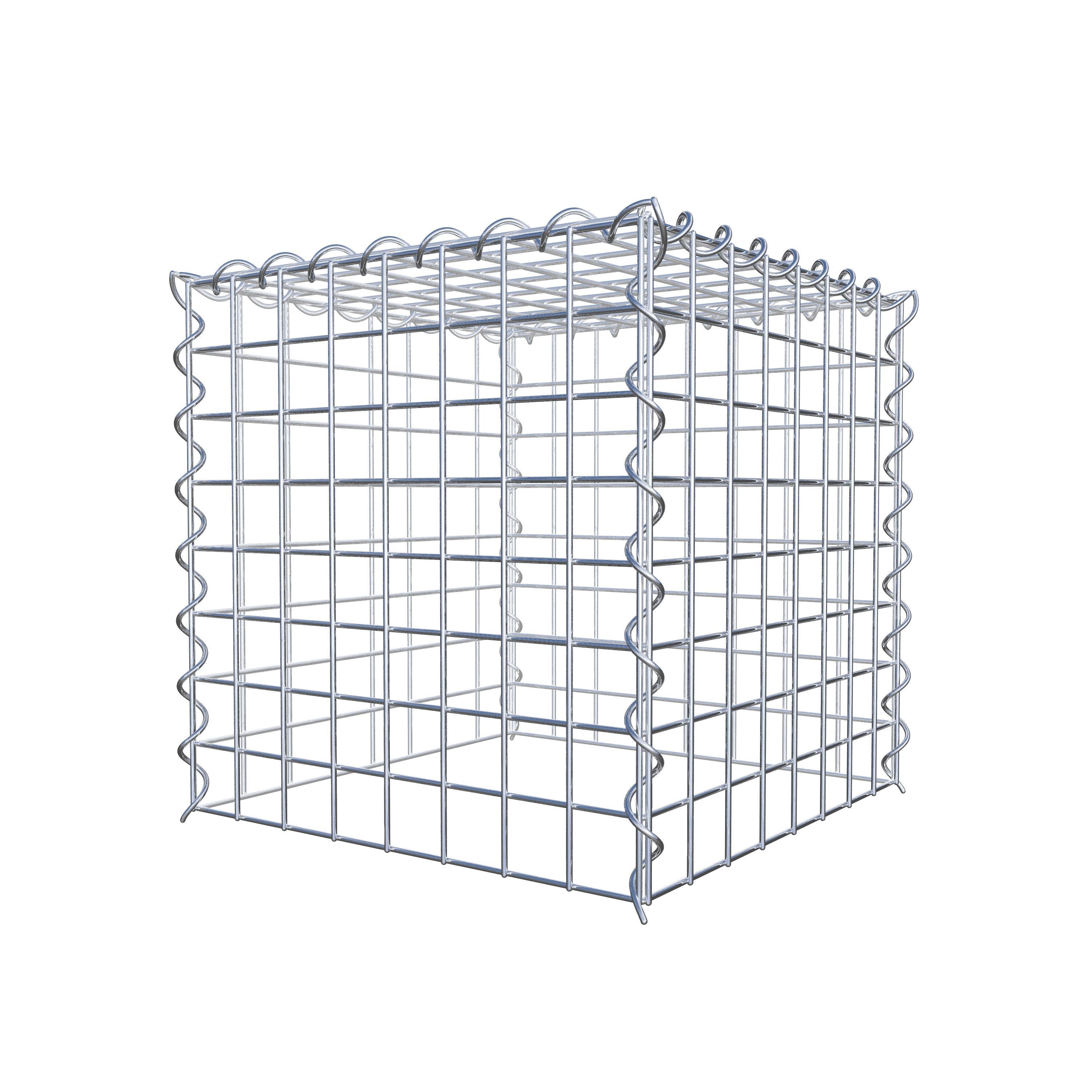 Grown-on gabion type 3 40 cm x 40 cm x 40 cm (L x H x D), mesh size 5 cm x 5 cm, spiral