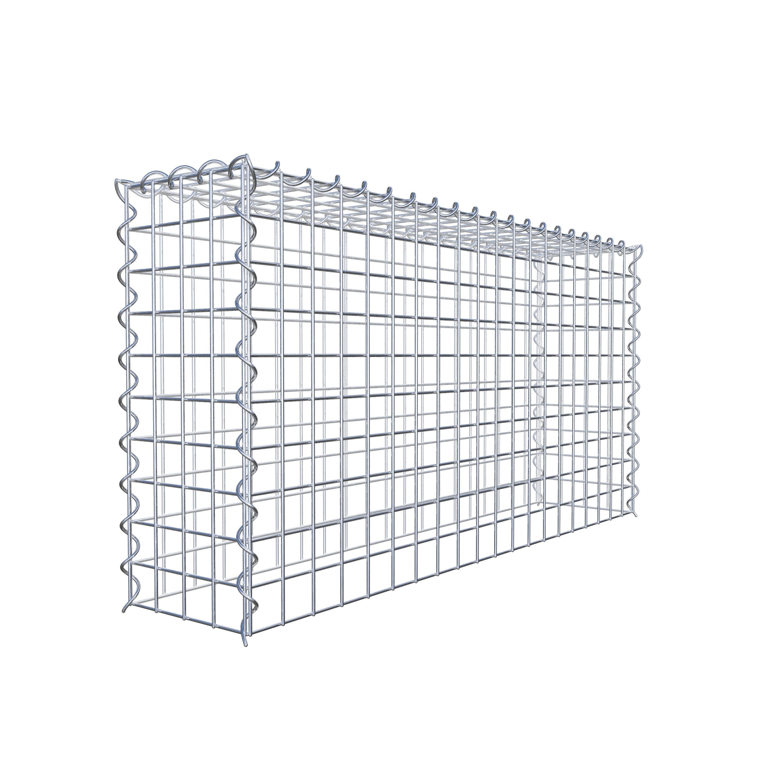 Grown-on gabion type 3 100 cm x 50 cm x 20 cm (L x H x D), mesh size 5 cm x 5 cm, spiral