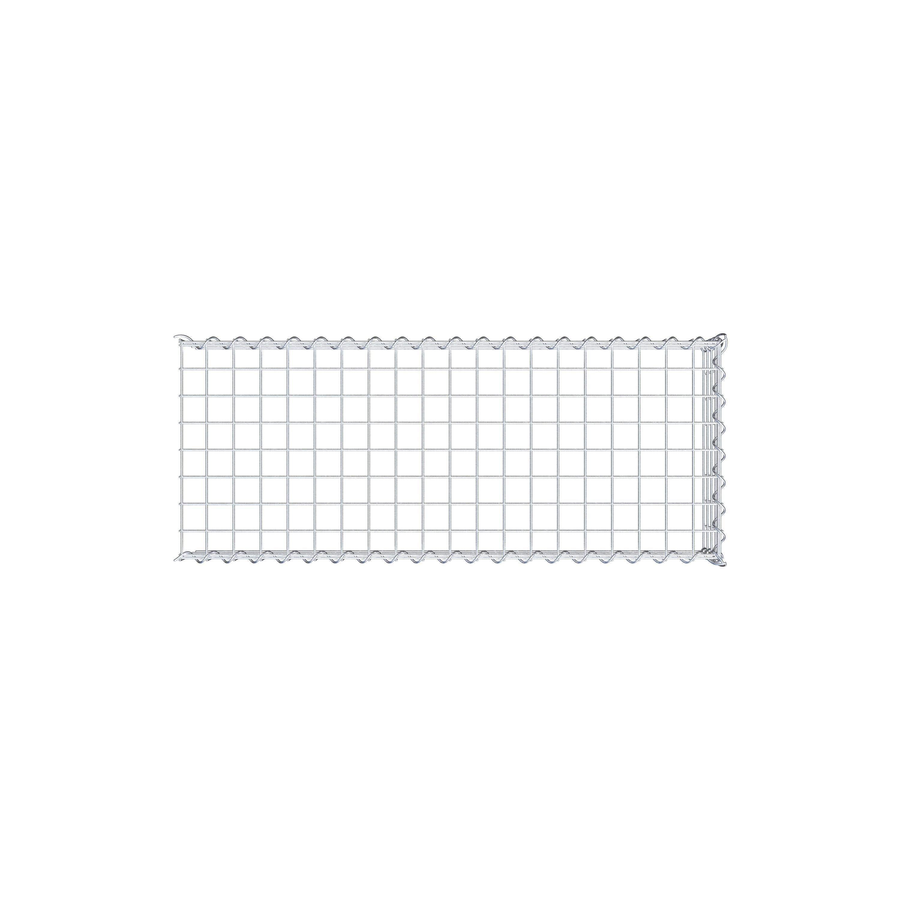 Opvokset gabion type 4 100 cm x 20 cm x 40 cm (L x H x D), maskestørrelse 5 cm x 5 cm, spiral