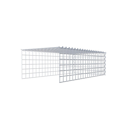 Grown-on gabion type 4 100 cm x 30 cm x 50 cm (L x H x D), mesh size 5 cm x 5 cm, spiral