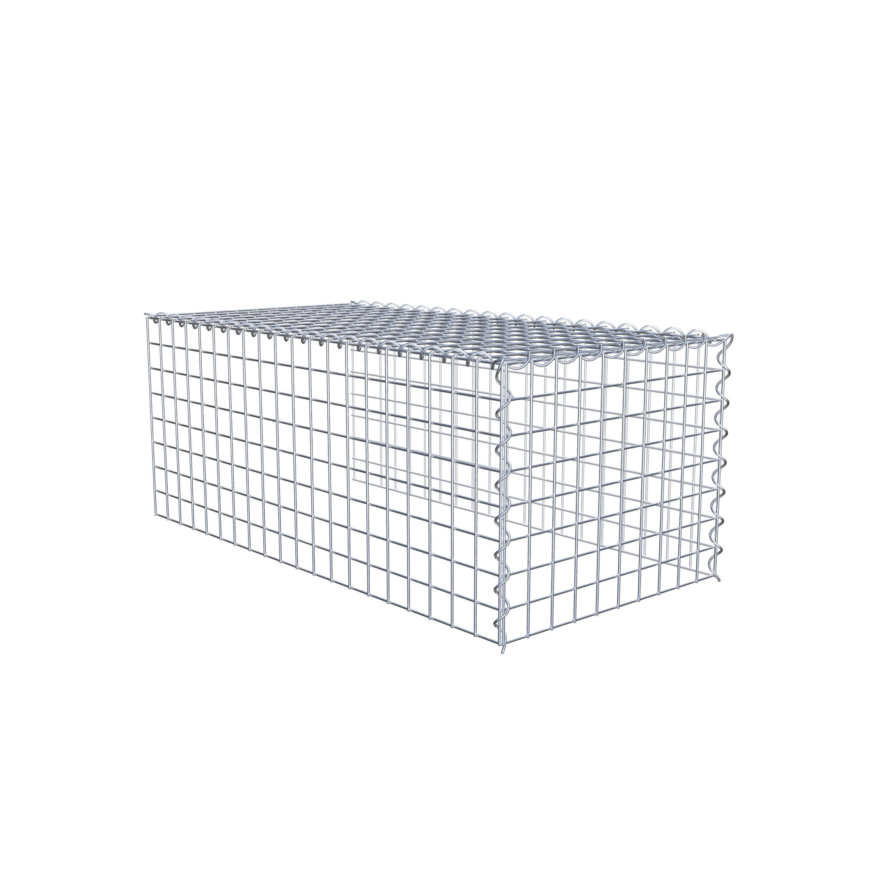 Grown-on gabion type 4 100 cm x 40 cm x 50 cm (L x H x D), mesh size 5 cm x 5 cm, spiral