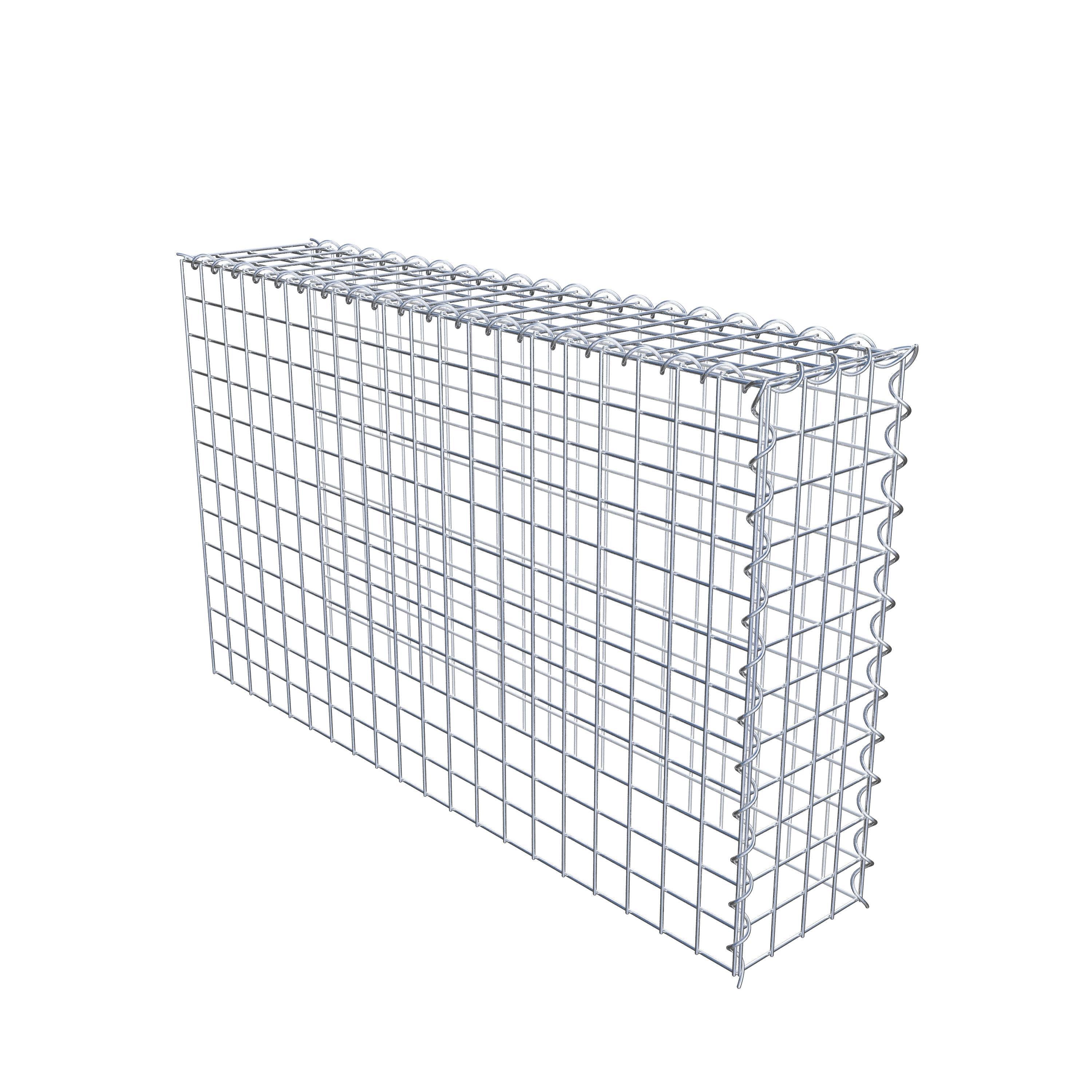 Grown-on gabion type 4 100 cm x 60 cm x 20 cm (L x H x D), mesh size 5 cm x 5 cm, spiral