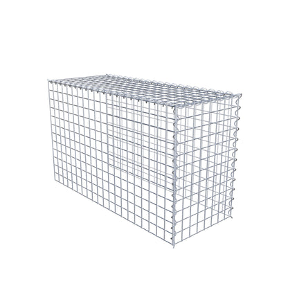 Grown-on gabion type 4 100 cm x 60 cm x 40 cm (L x H x D), mesh size 5 cm x 5 cm, spiral
