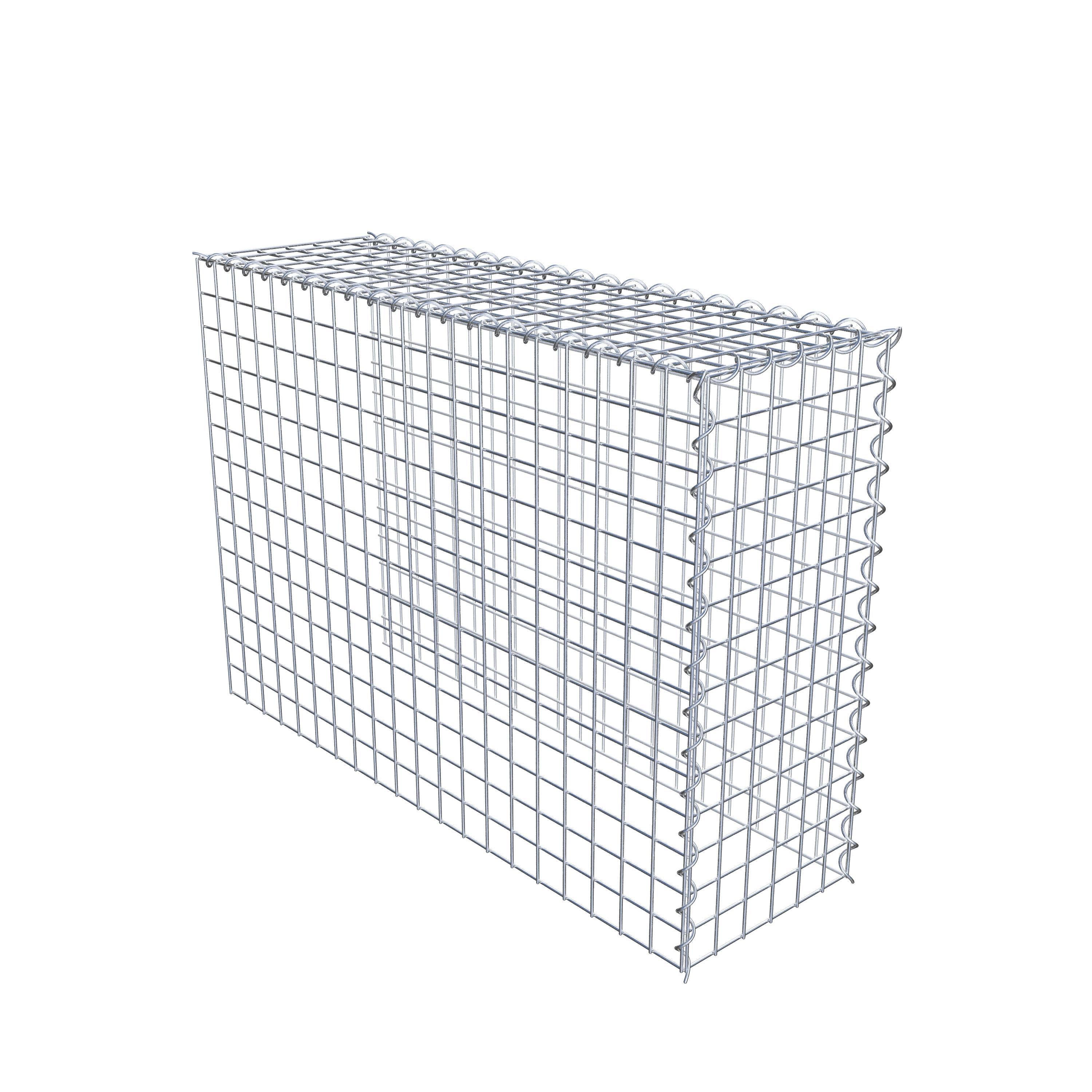 Grown-on gabion type 4 100 cm x 70 cm x 30 cm (L x H x D), mesh size 5 cm x 5 cm, spiral