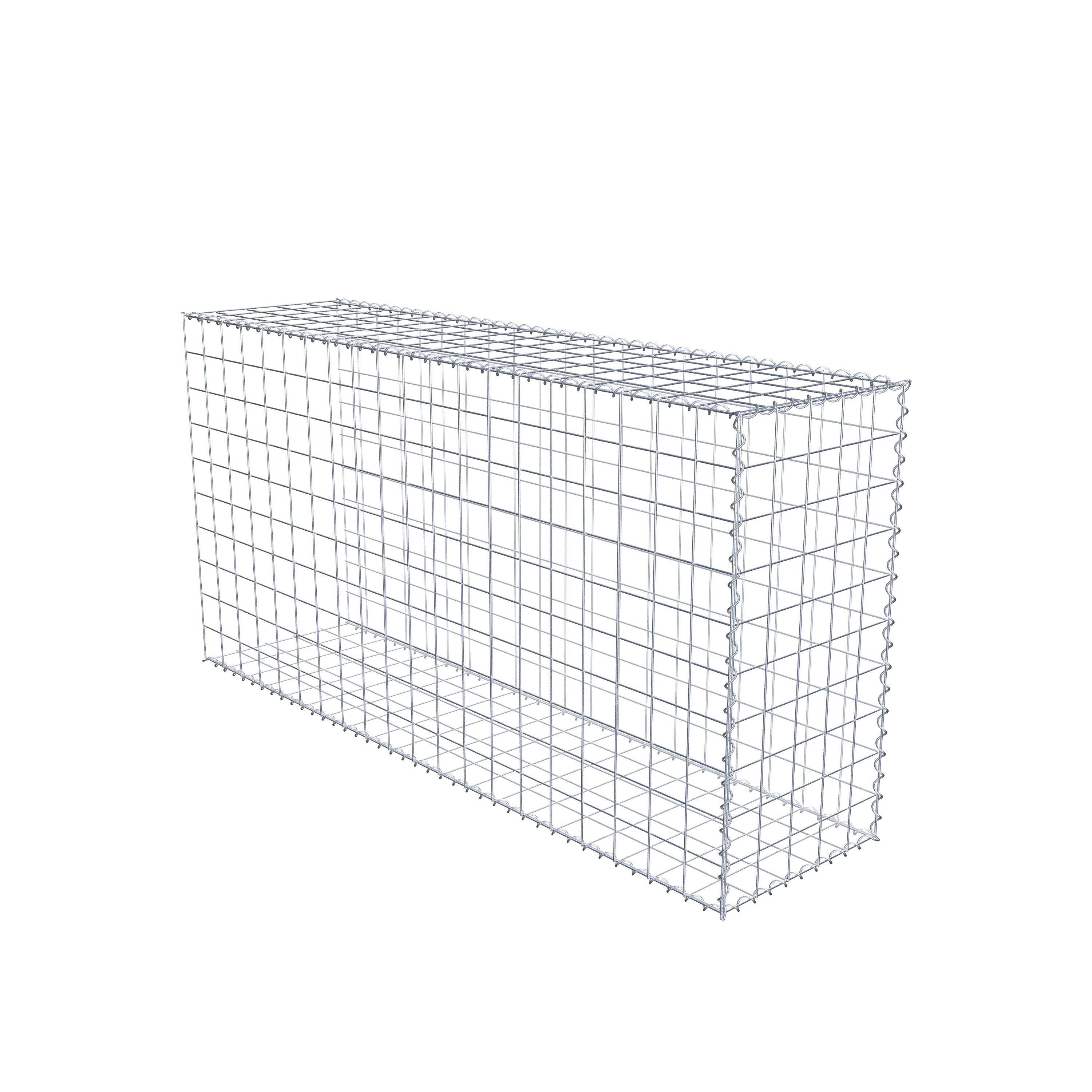 Grown-on gabion type 2 200 cm x 100 cm x 50 cm (L x H x D), mesh size 10 cm x 10 cm, spiral