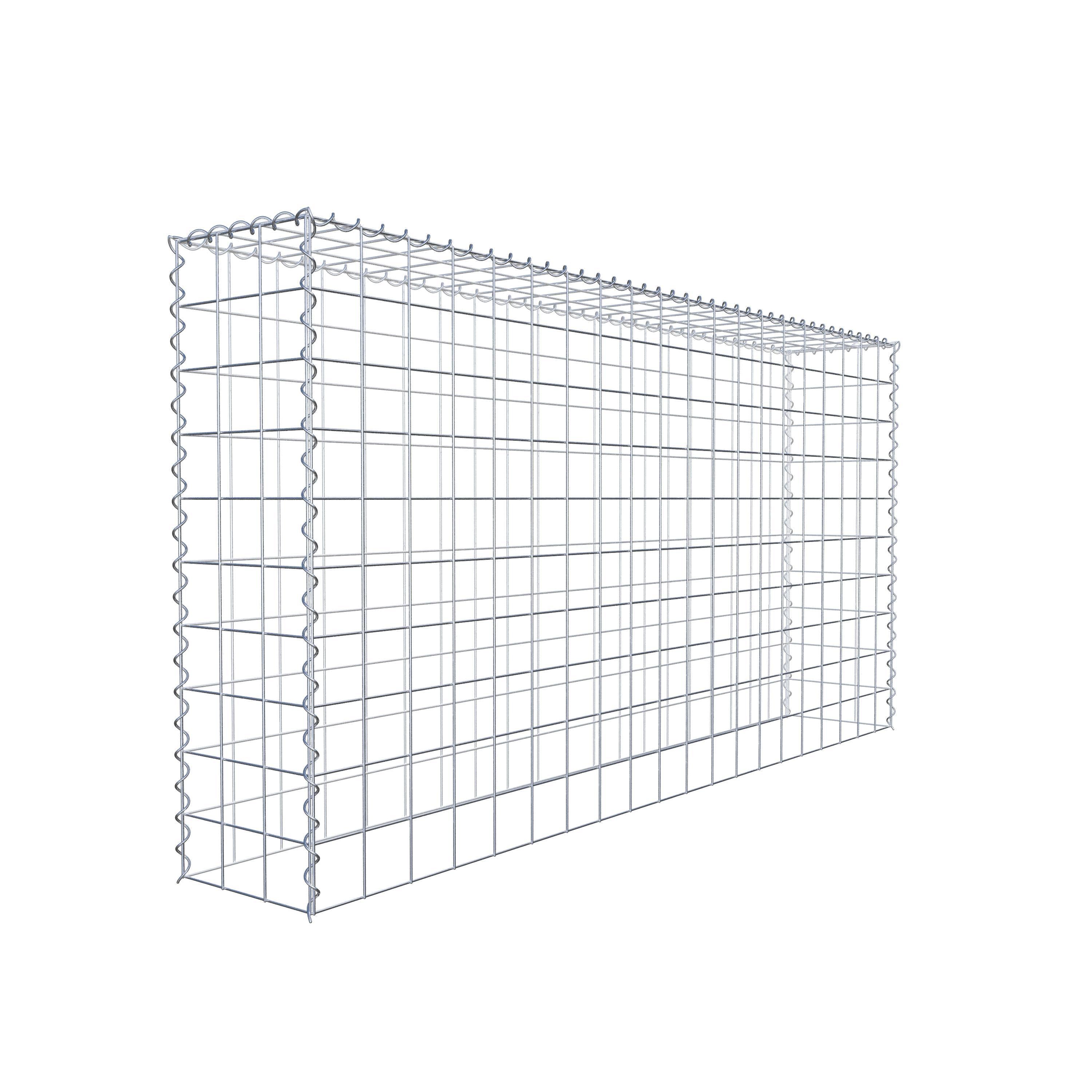 Grown-on gabion type 3 200 cm x 100 cm x 30 cm (L x H x D), mesh size 10 cm x 10 cm, spiral