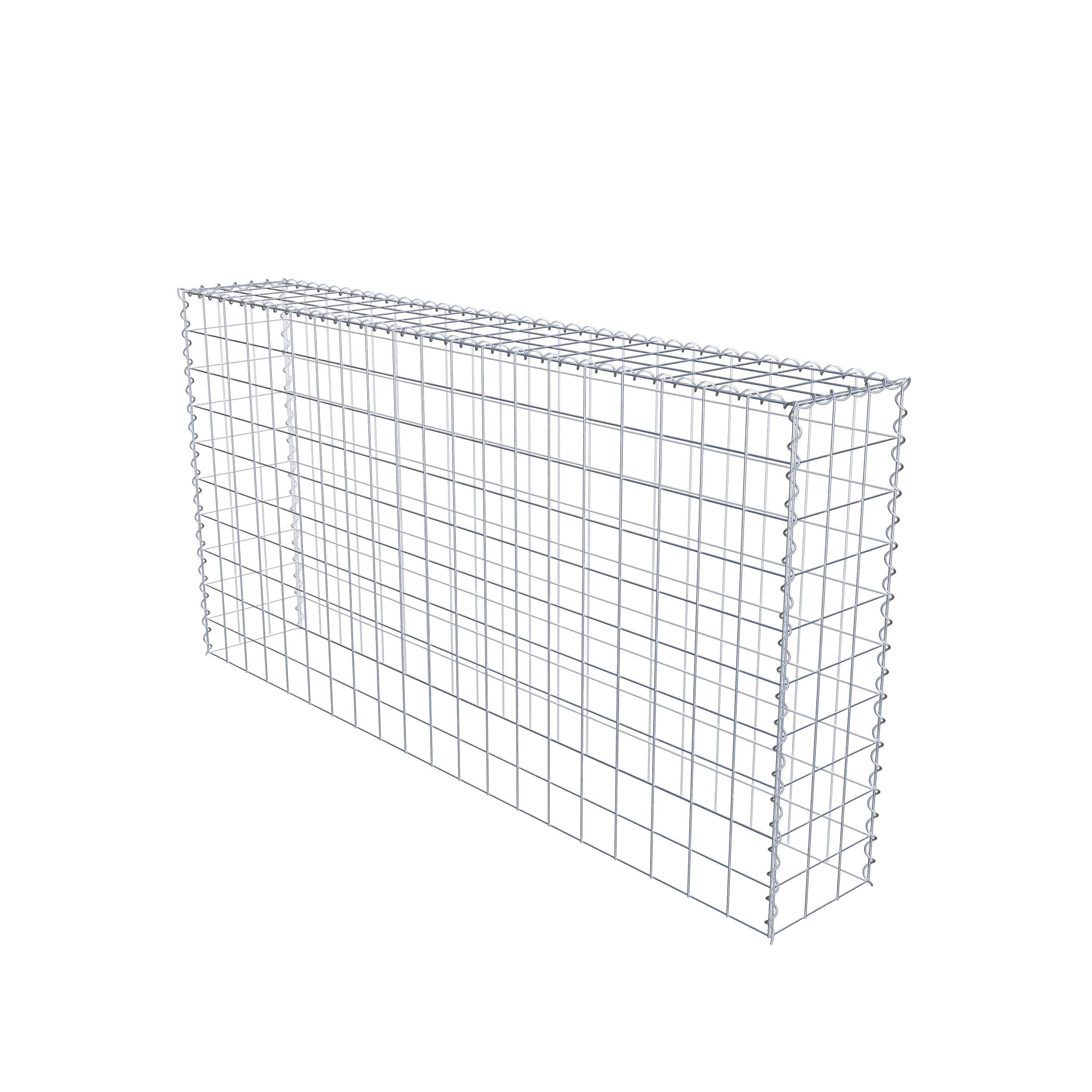 Grown-on gabion type 3 200 cm x 100 cm x 30 cm (L x H x D), mesh size 10 cm x 10 cm, spiral