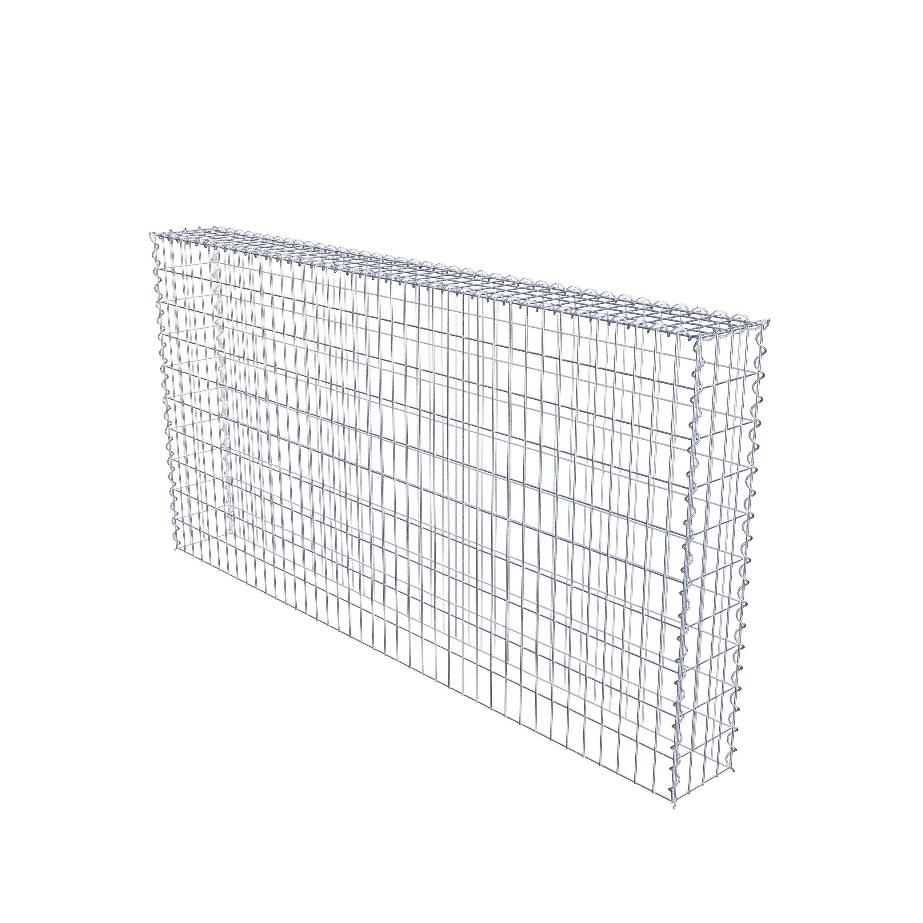 Grown-on gabion type 3 200 cm x 100 cm x 20 cm (L x H x D), mesh size 5 cm x 10 cm, spiral