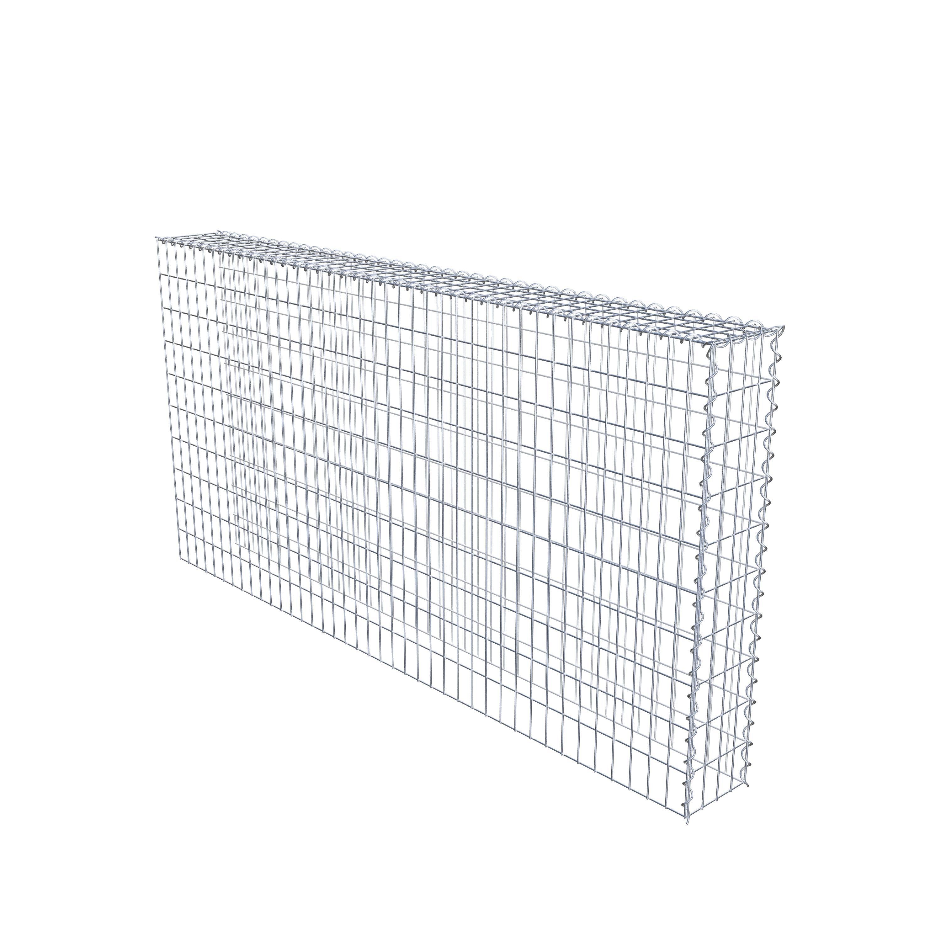 Grown-on gabion type 4 200 cm x 100 cm x 20 cm (L x H x D), mesh size 5 cm x 10 cm, spiral