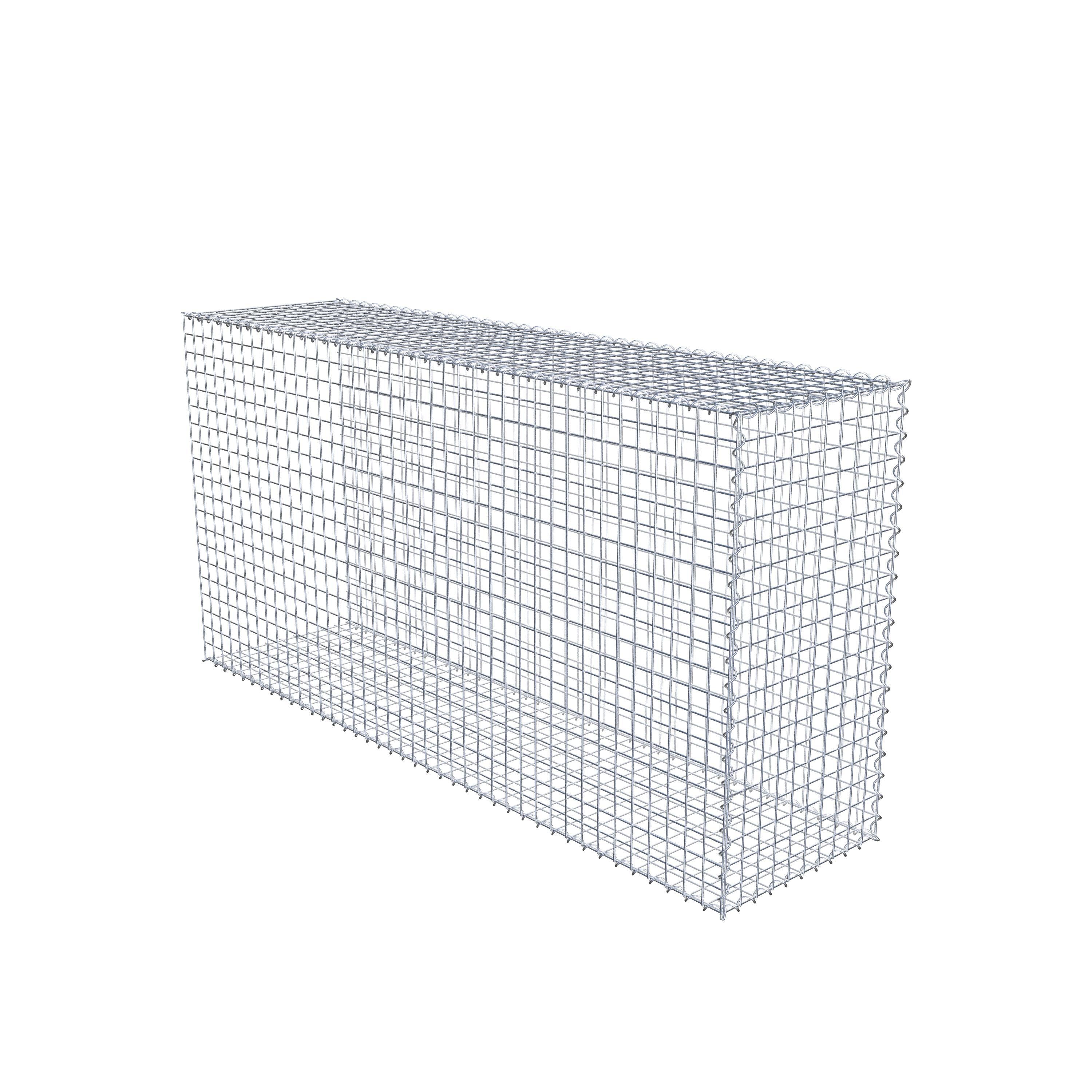 Grown-on gabion type 2 200 cm x 100 cm x 50 cm (L x H x D), mesh size 5 cm x 5 cm, spiral