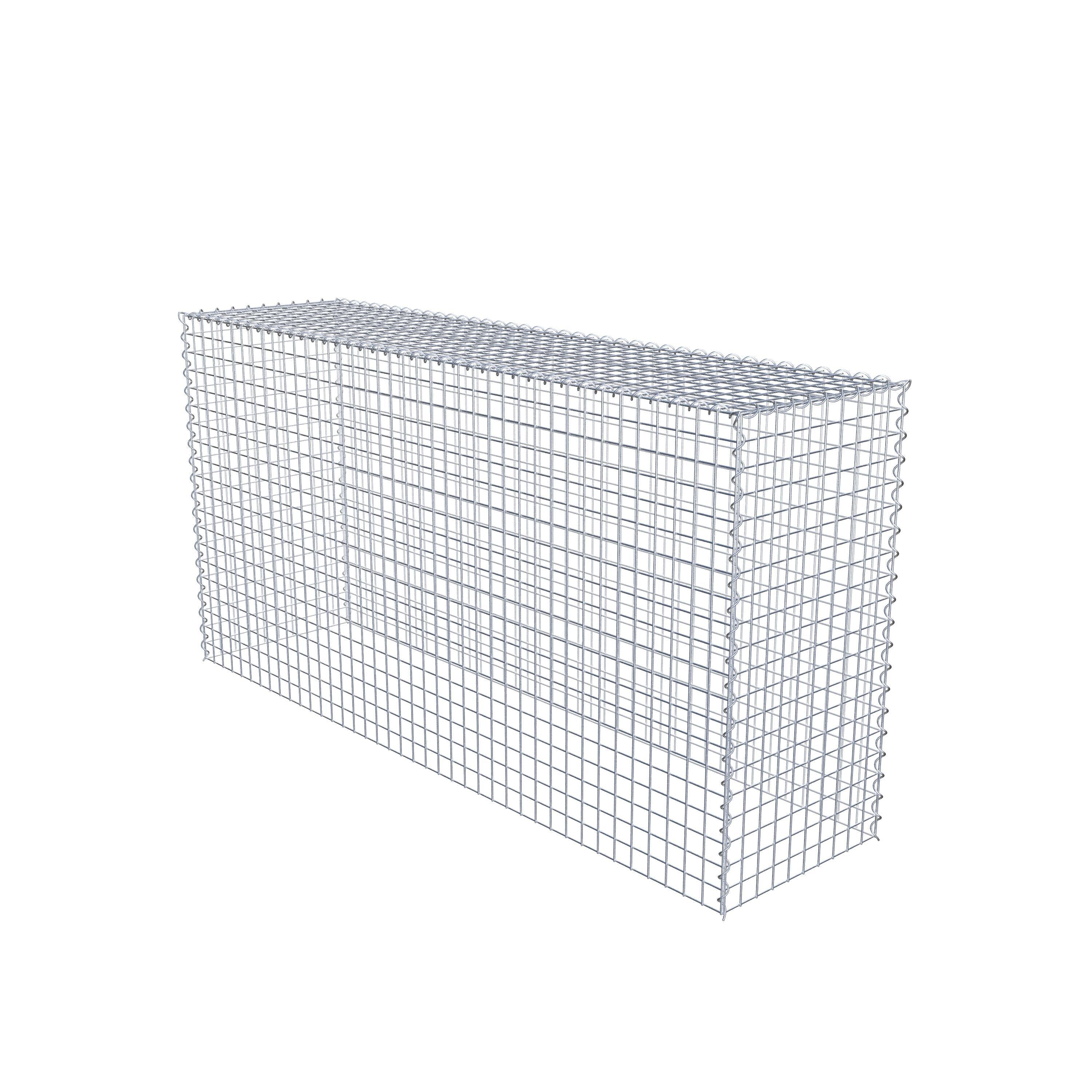 Grown-on gabion type 3 200 cm x 100 cm x 50 cm (L x H x D), mesh size 5 cm x 5 cm, spiral