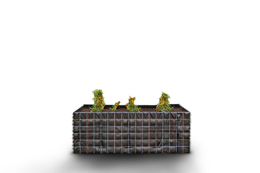 Raised bed square without stones 170 cm x 60 cm x 60 cm