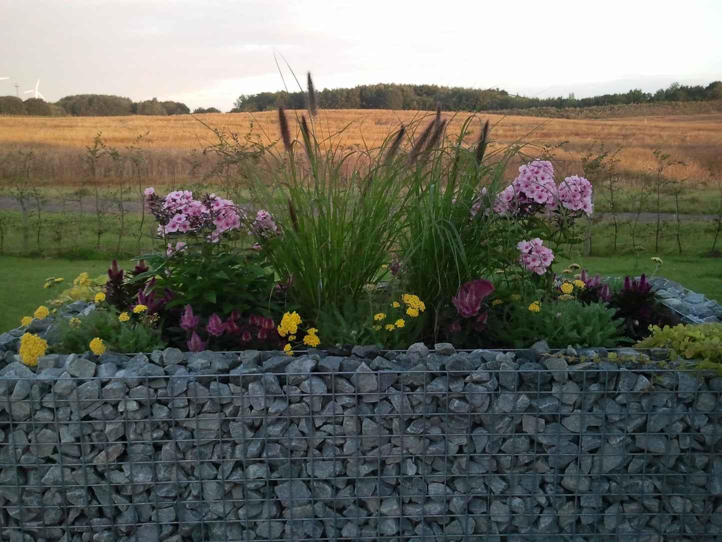 Raised bed square 200 cm x 100 cm x 100 cm (L x H x D), mesh size 5 x 5 cm, wall thickness 10 cm