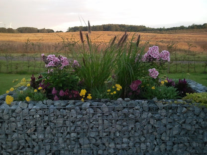 Raised bed square 200 cm x 100 cm x 100 cm (L x H x D), mesh size 5 x 5 cm, wall thickness 10 cm