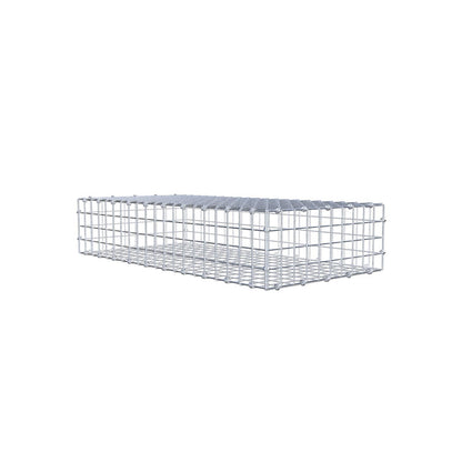 Gabion 100 cm x 20 cm x 50 cm (L x H x D), mesh size 5 x 5 cm, spiral ring